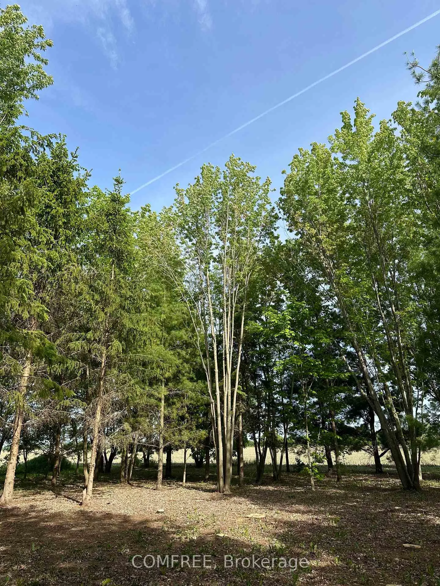 Photo 4 of 3646 Kinburn Side Road, Ottawa, Fitzroy Ward (South West) — HOMEH