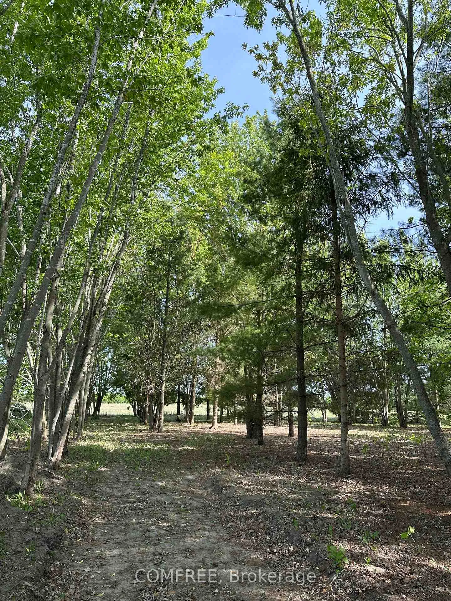 Photo 5 of 3646 Kinburn Side Road, Ottawa, Fitzroy Ward (South West) — HOMEH