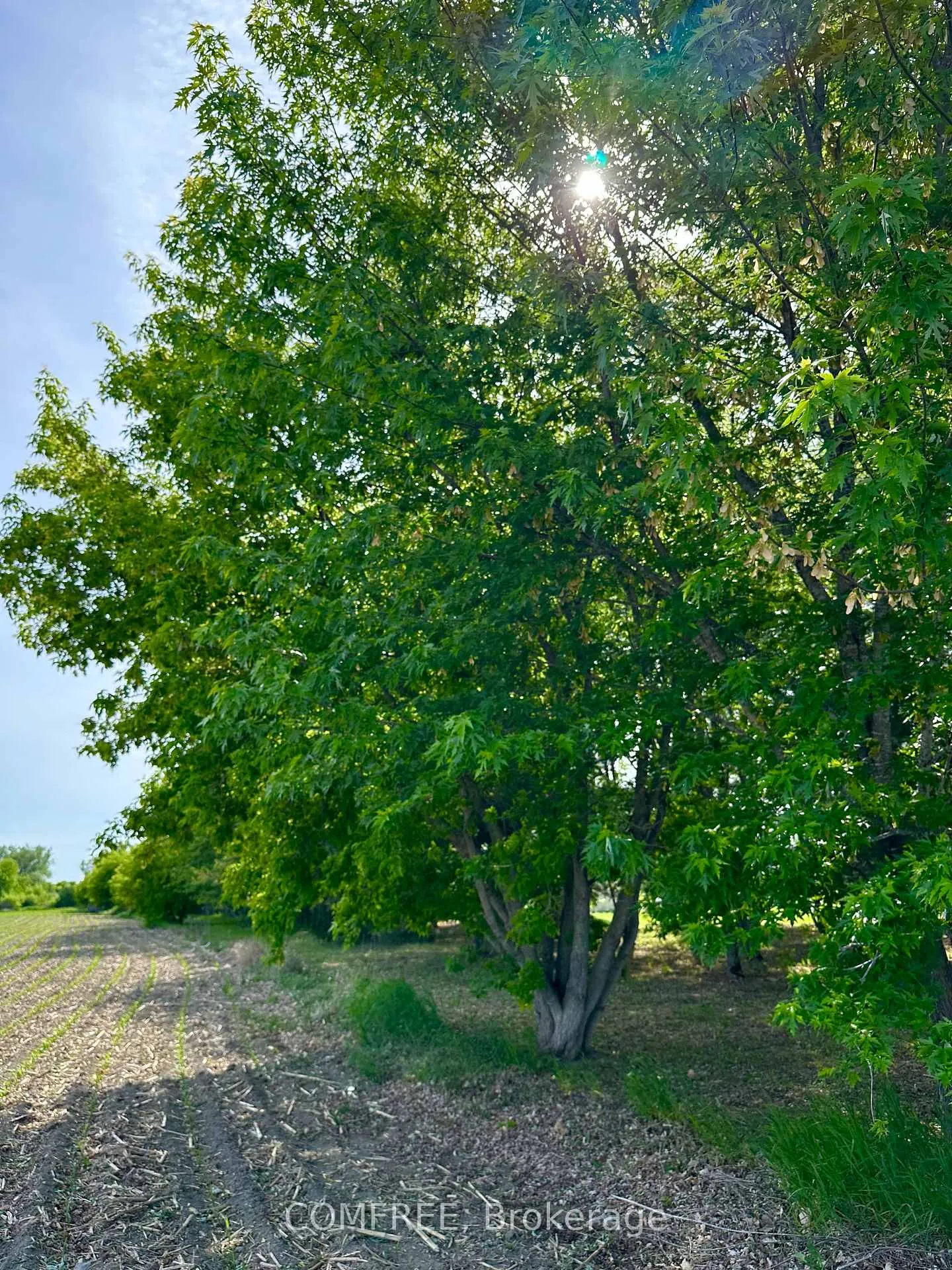 Photo 6 of 3646 Kinburn Side Road, Ottawa, Fitzroy Ward (South West) — HOMEH