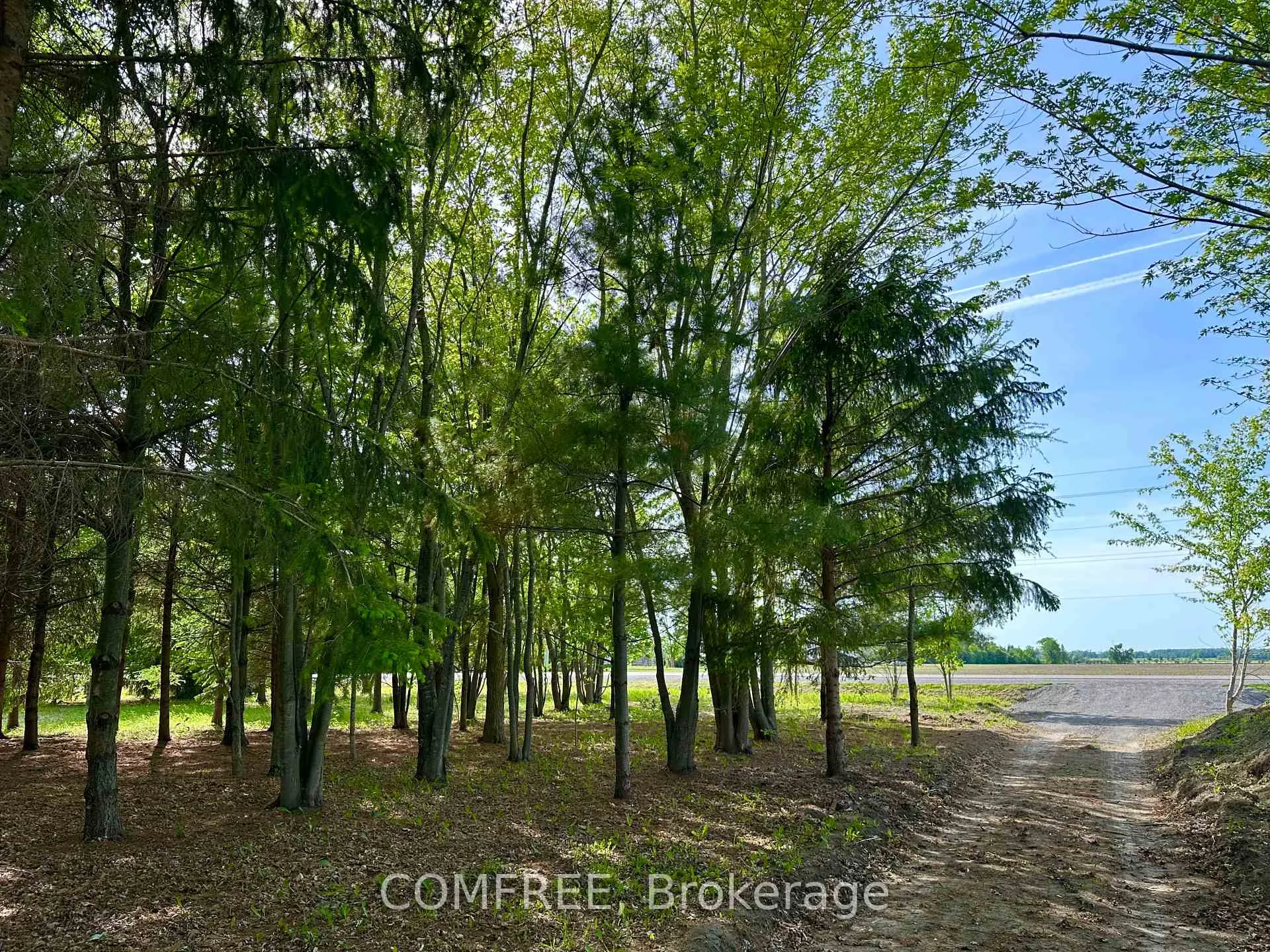 Photo 8 of 3646 Kinburn Side Road, Ottawa, Fitzroy Ward (South West) — HOMEH