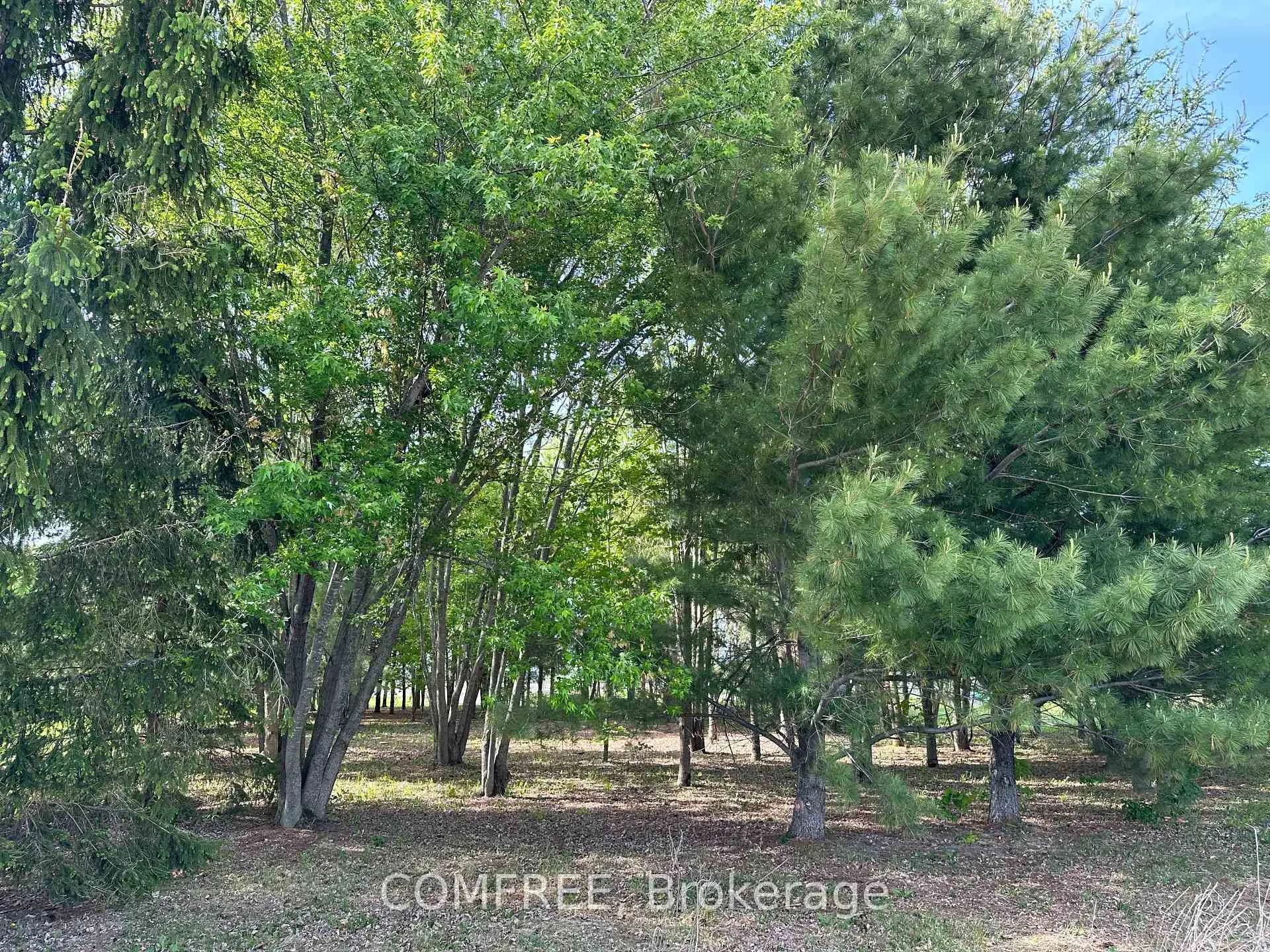 Photo 9 of 3646 Kinburn Side Road, Ottawa, Fitzroy Ward (South West) — HOMEH