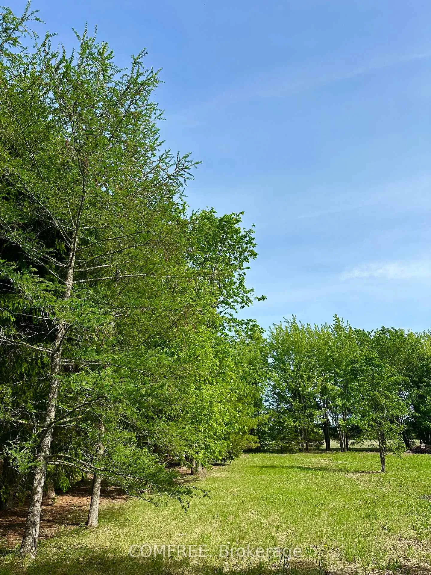Photo 10 of 3646 Kinburn Side Road, Ottawa, Fitzroy Ward (South West) — HOMEH