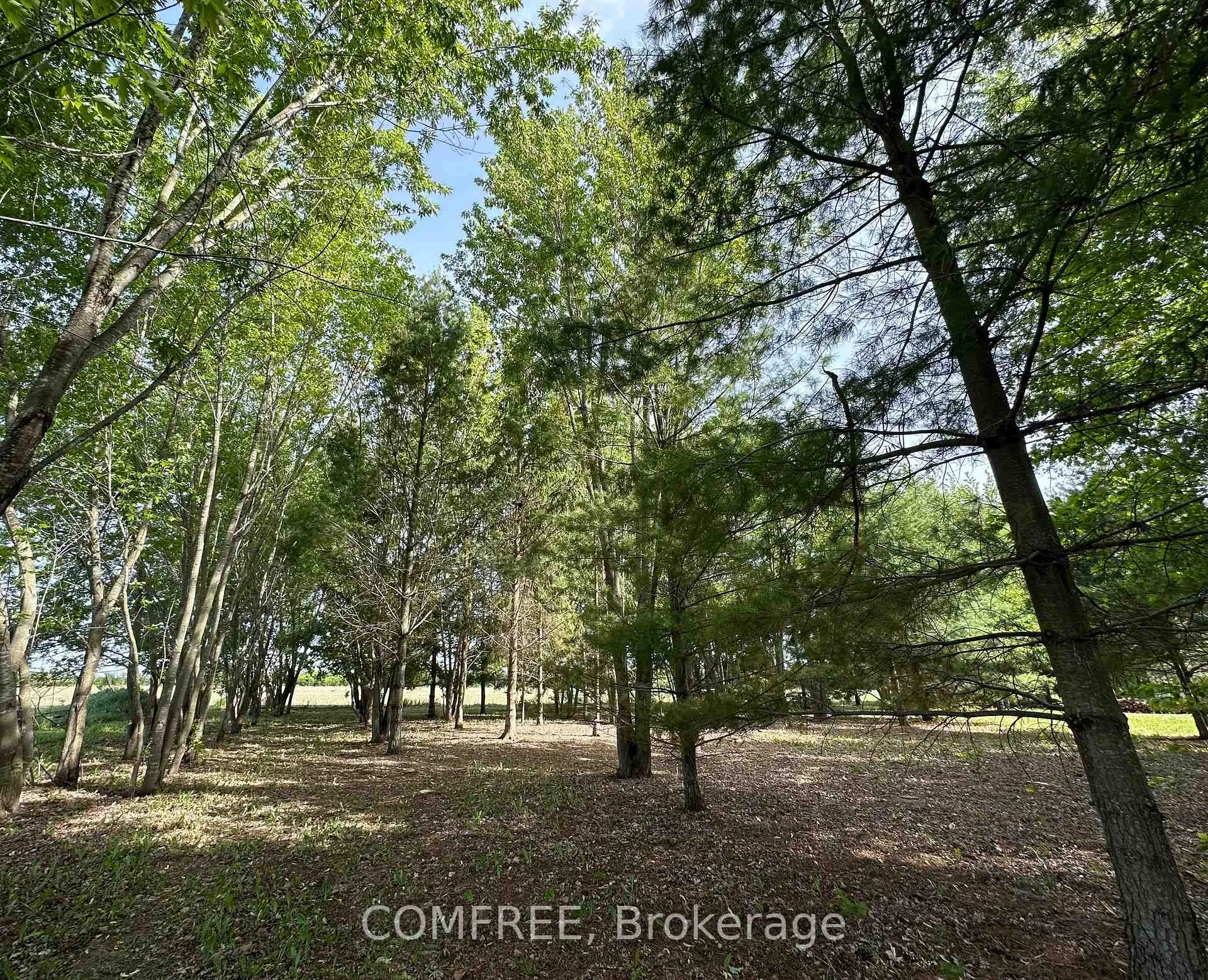 Photo 11 of 3646 Kinburn Side Road, Ottawa, Fitzroy Ward (South West) — HOMEH