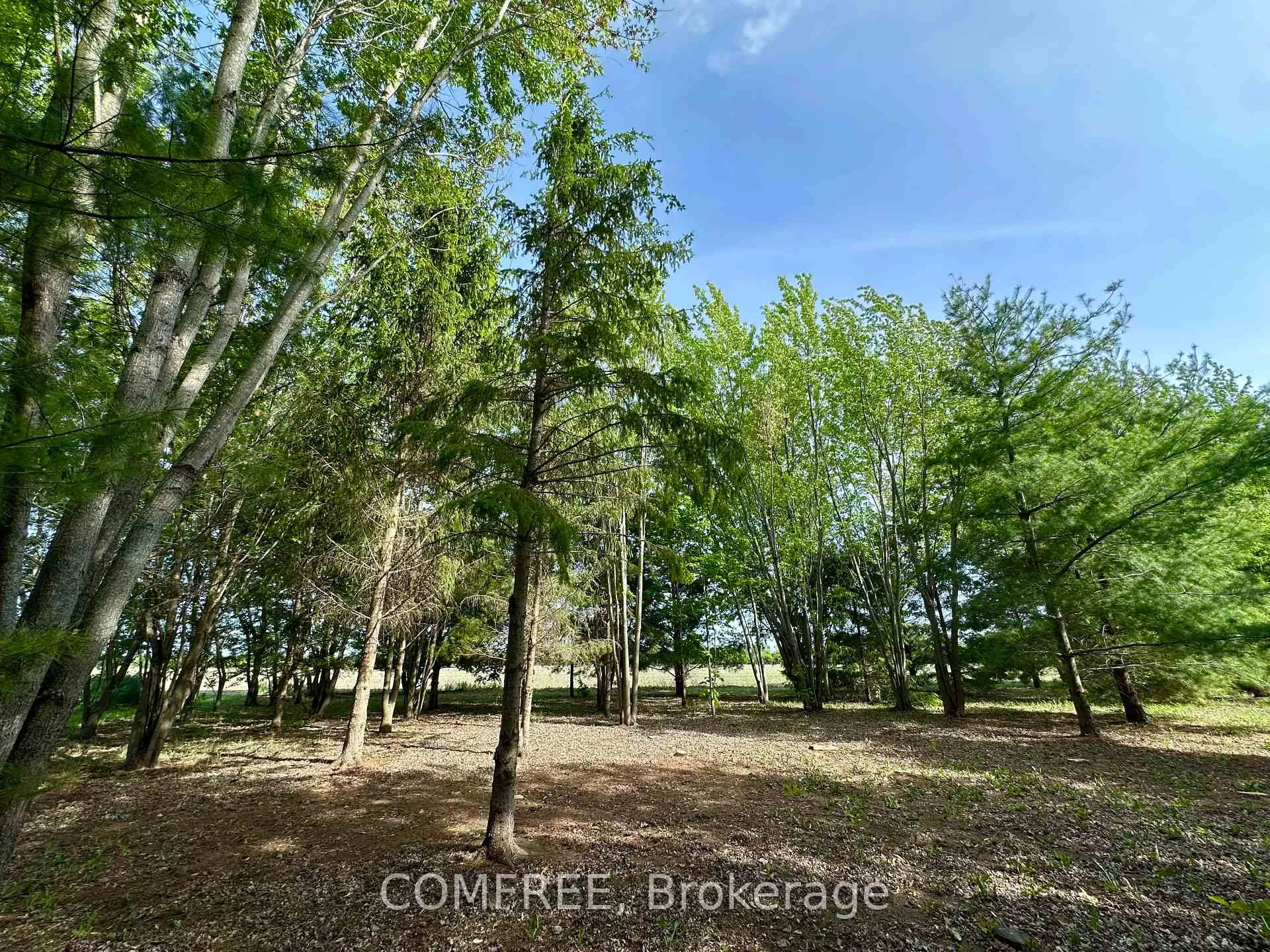 Photo 12 of 3646 Kinburn Side Road, Ottawa, Fitzroy Ward (South West) — HOMEH