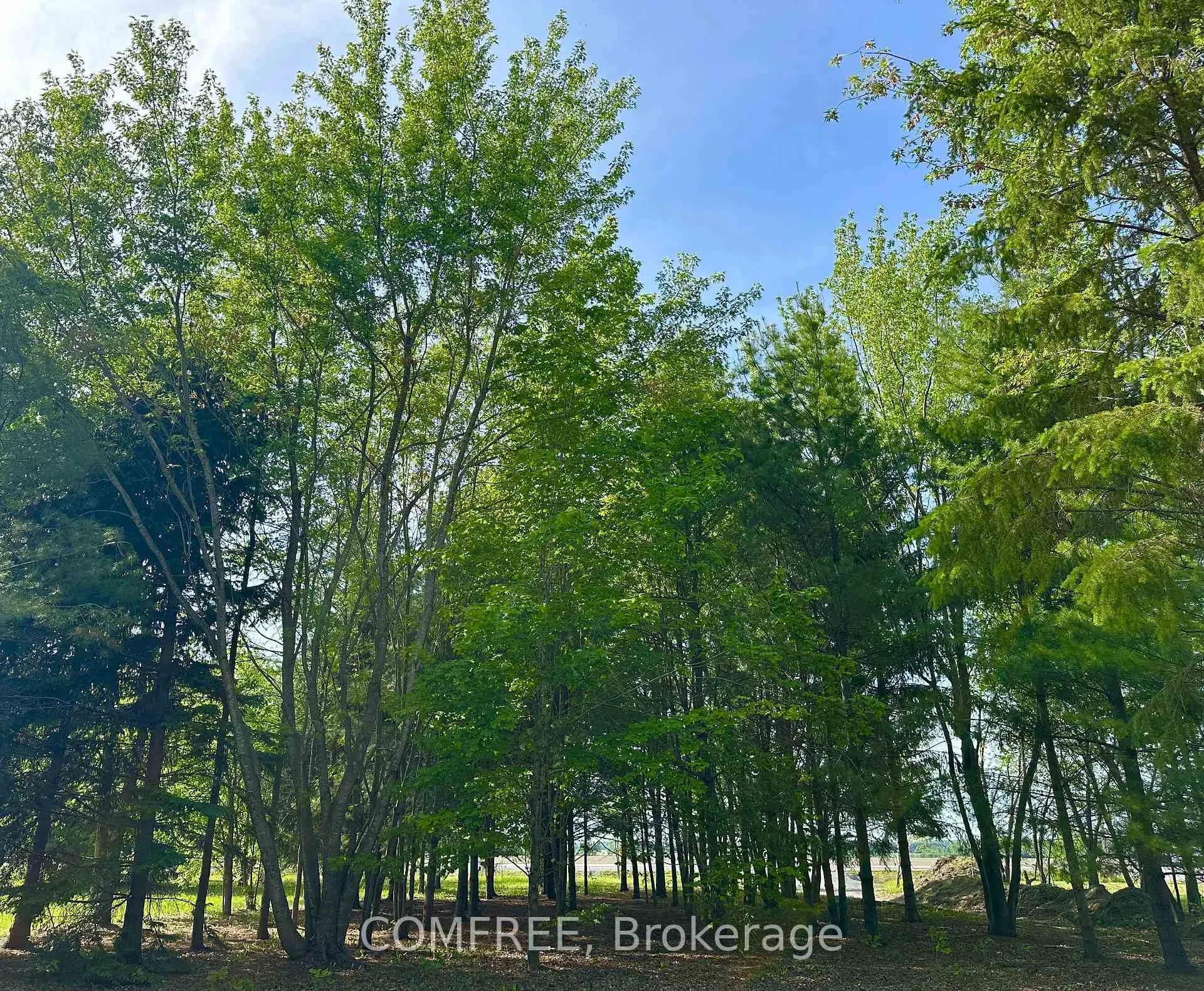Photo 13 of 3646 Kinburn Side Road, Ottawa, Fitzroy Ward (South West) — HOMEH
