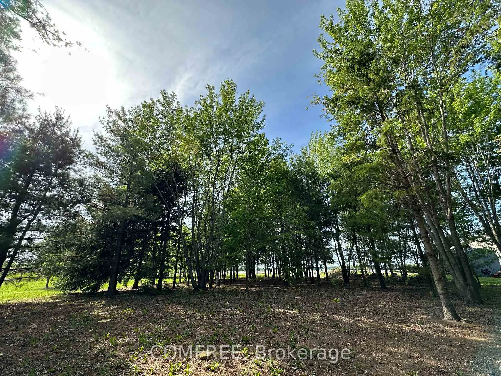 Photo 14 of 3646 Kinburn Side Road, Ottawa, Fitzroy Ward (South West) — HOMEH