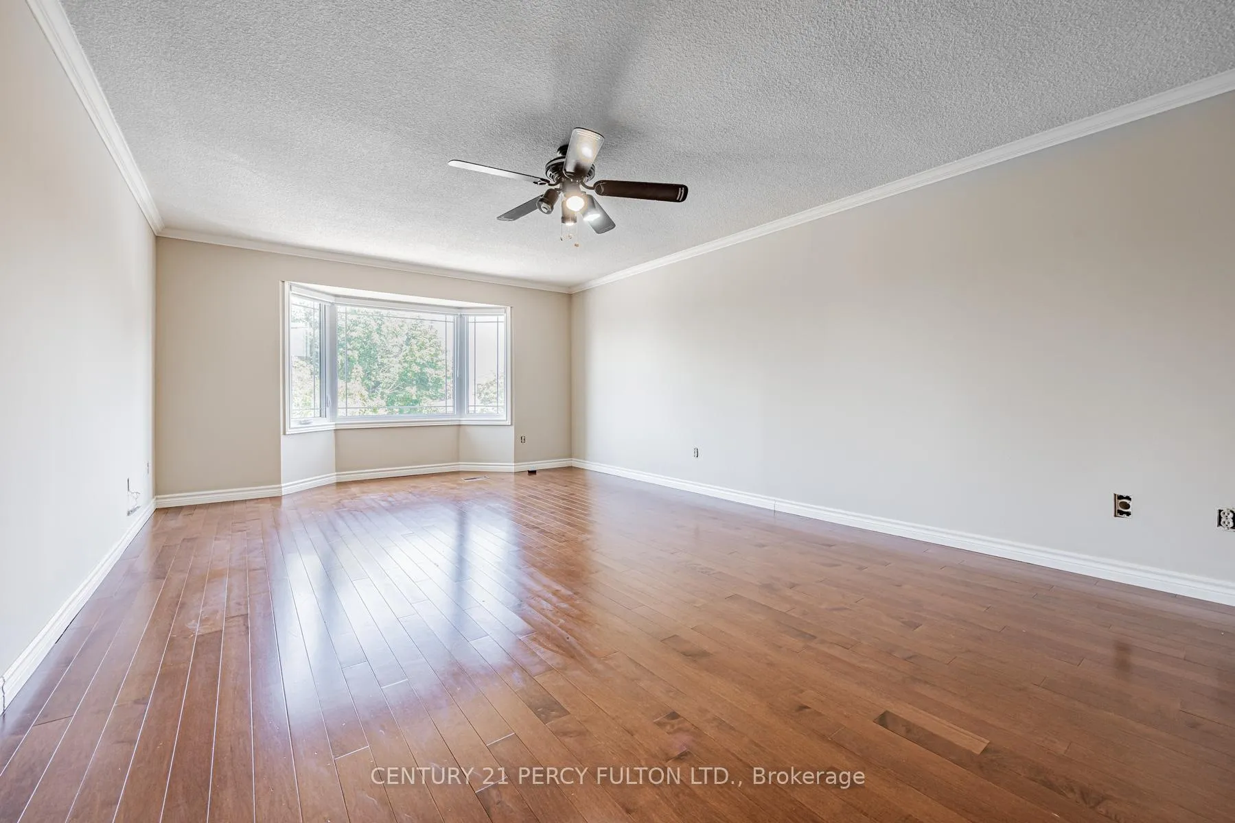 Photo 22 of 81 Ennisclare Place, Whitby, Pringle Creek — HOMEH