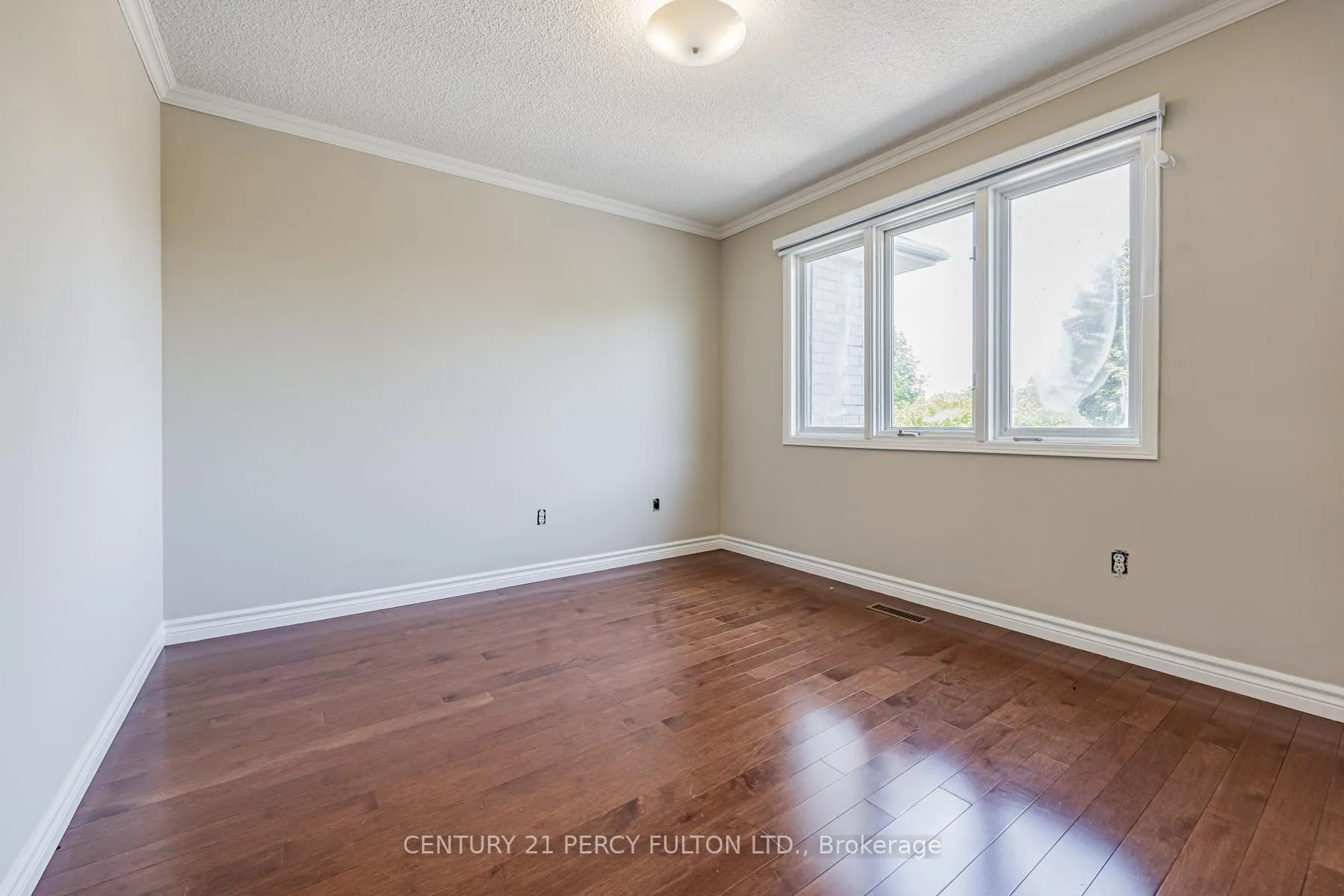 Photo 26 of 81 Ennisclare Place, Whitby, Pringle Creek — HOMEH