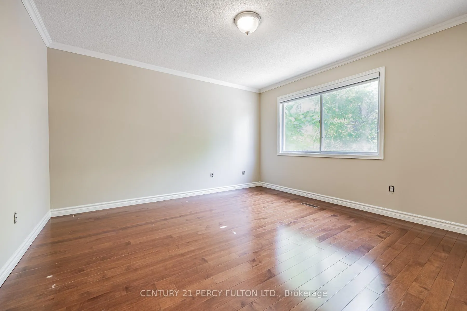 Photo 29 of 81 Ennisclare Place, Whitby, Pringle Creek — HOMEH