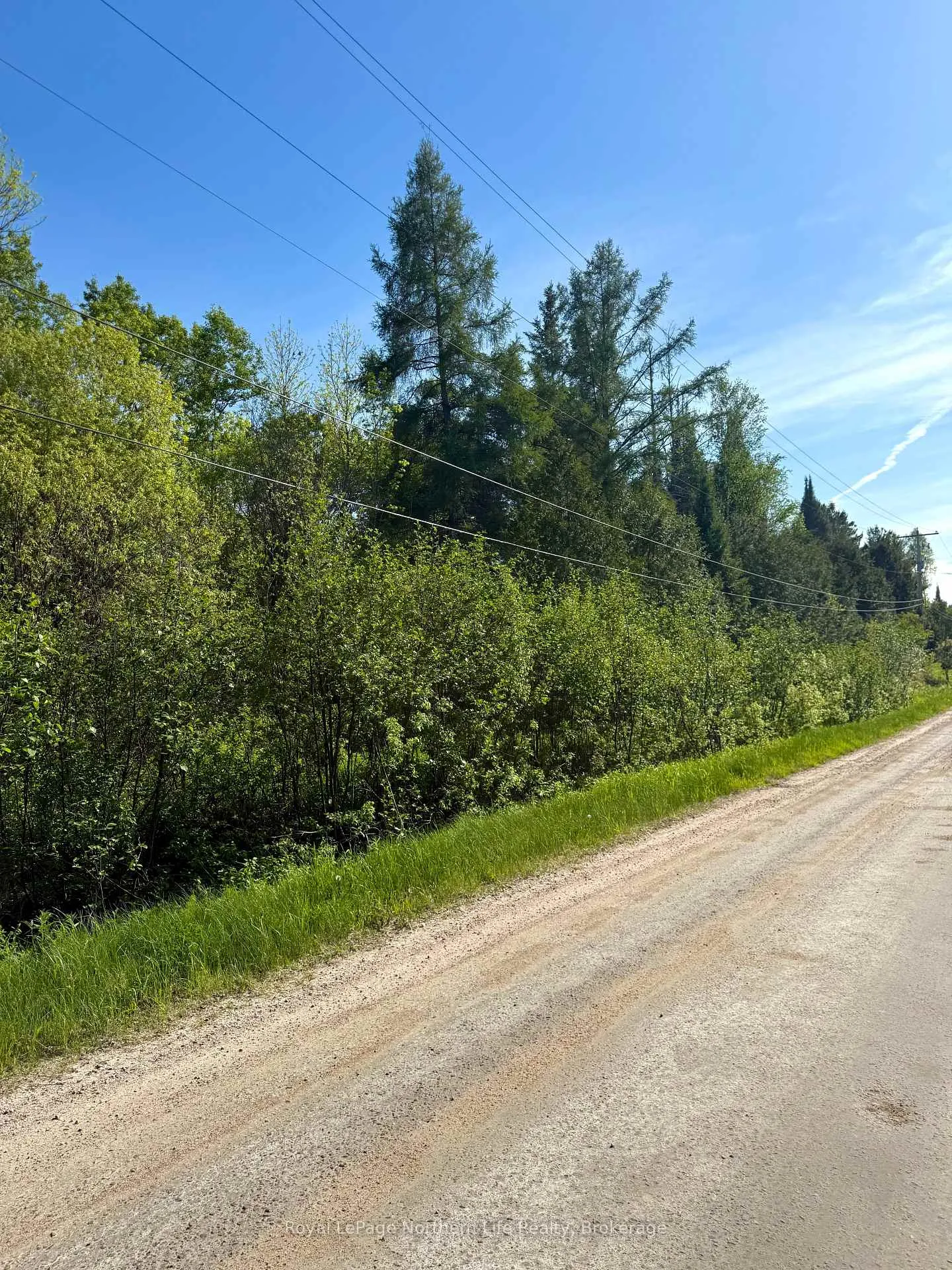 Photo 5 of Lot 7 Concession 8, East Ferris — HOMEH