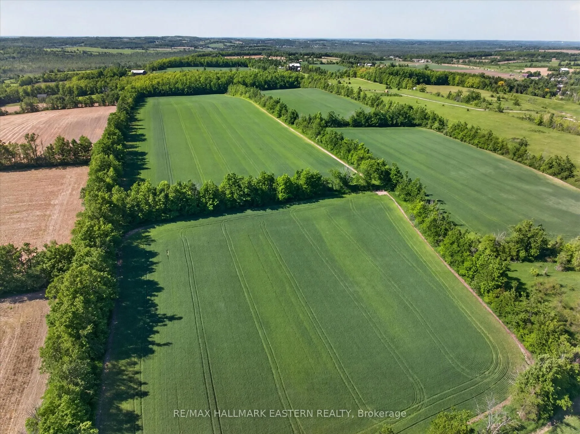 Photo 6 of 794 Morton Line, Cavan Monaghan, Cavan Twp — HOMEH