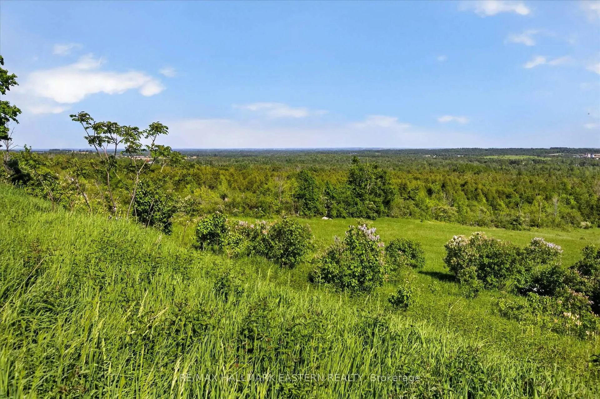 Photo 19 of 794 Morton Line, Cavan Monaghan, Cavan Twp — HOMEH