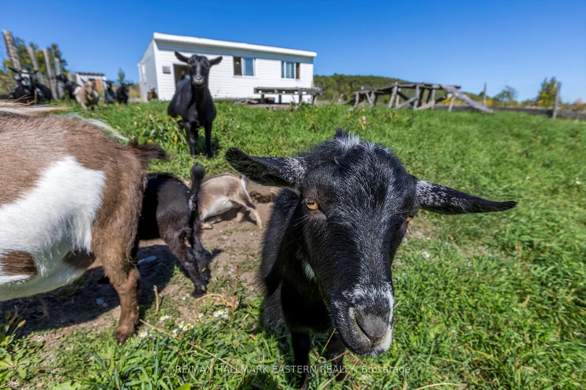 Photo 40 of 794 Morton Line, Cavan Monaghan, Cavan Twp — HOMEH