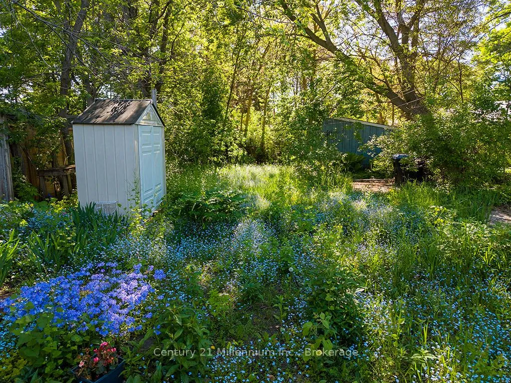 Photo 19 of 444 Maple Street, Collingwood — HOMEH