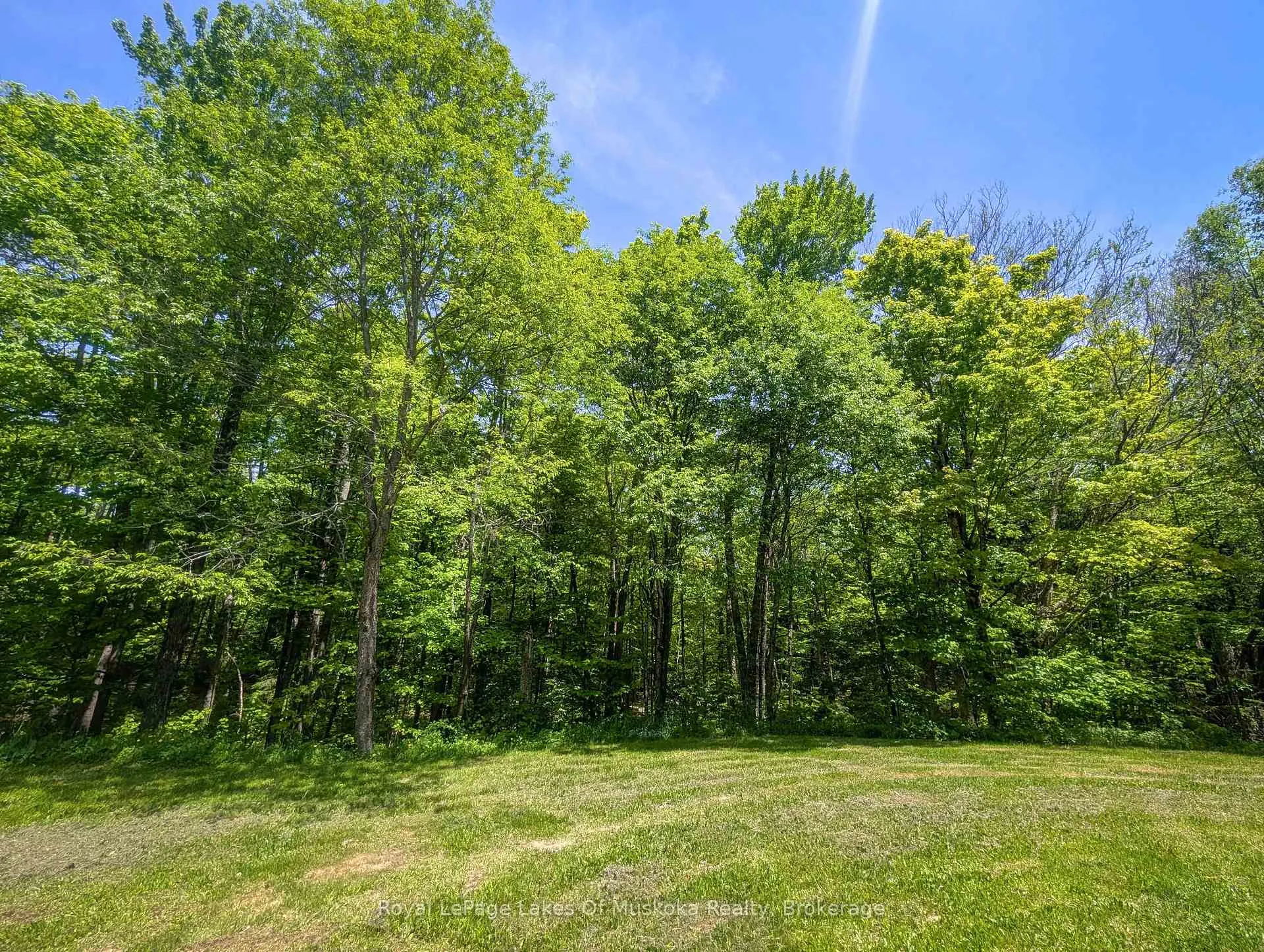 Photo 51 of 722 South Horn Lk Road, Armour — HOMEH