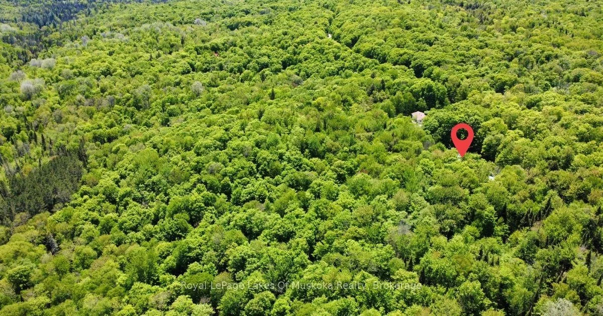 Photo 8 of 722 South Horn Lk Road, Armour — HOMEH