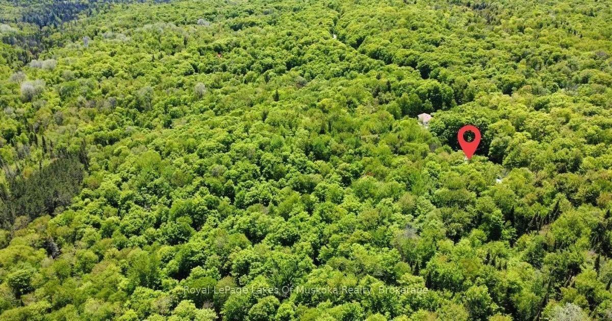 Photo 56 of 722 South Horn Lk Road, Armour — HOMEH