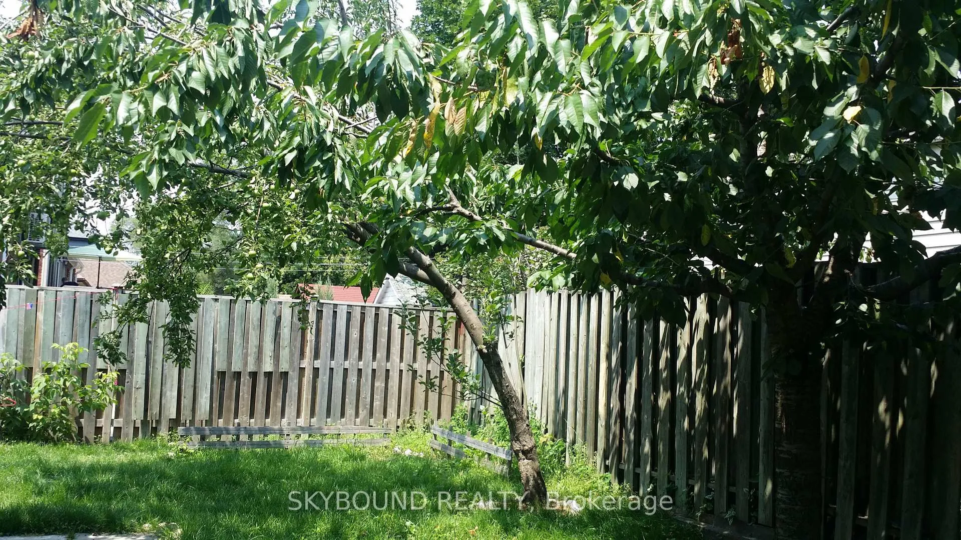 Photo 19 of Unit Basement, 354 St Johns Road, Toronto, Runnymede-Bloor West Village — HOMEH
