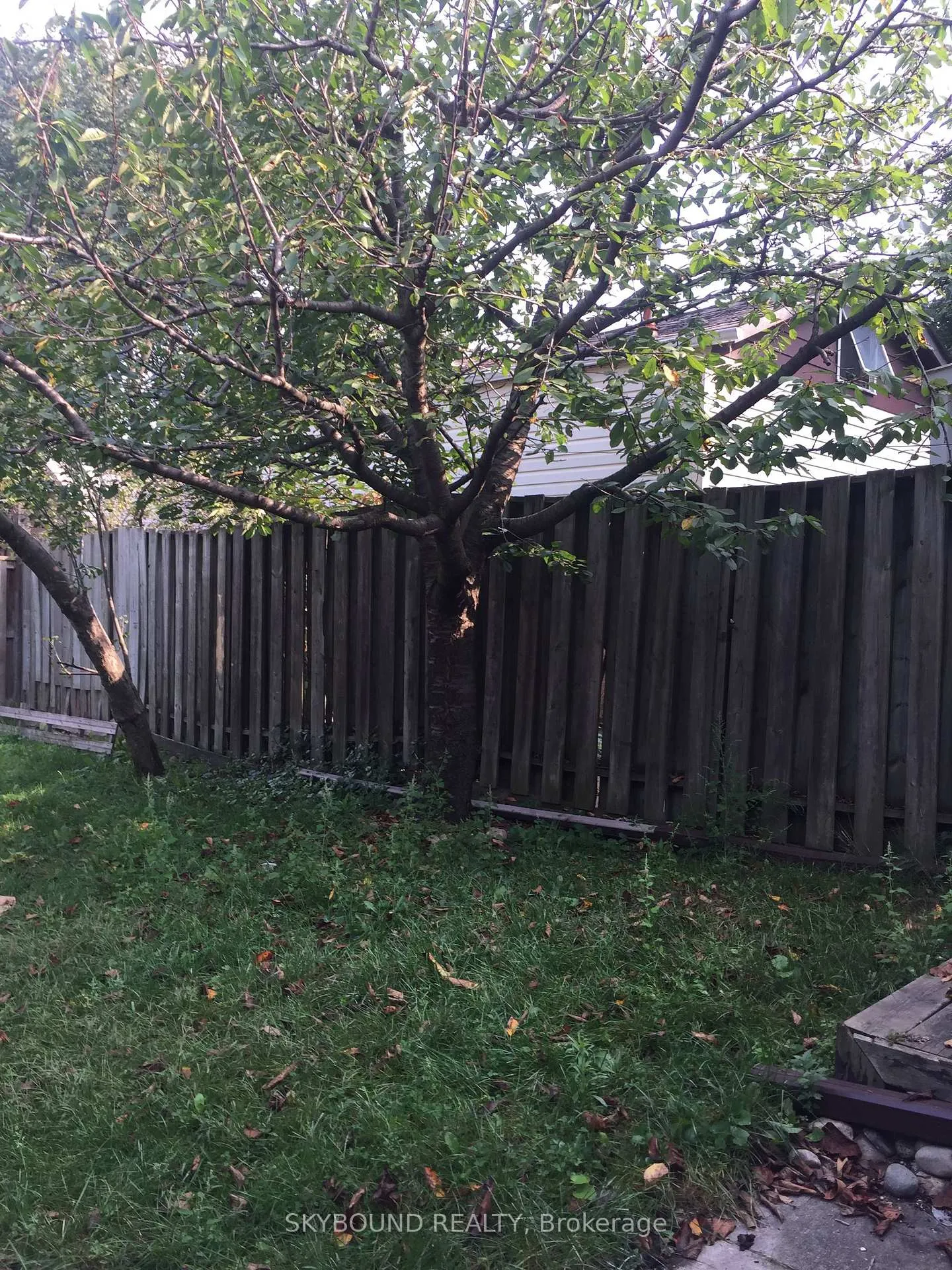 Photo 20 of Unit Basement, 354 St Johns Road, Toronto, Runnymede-Bloor West Village — HOMEH