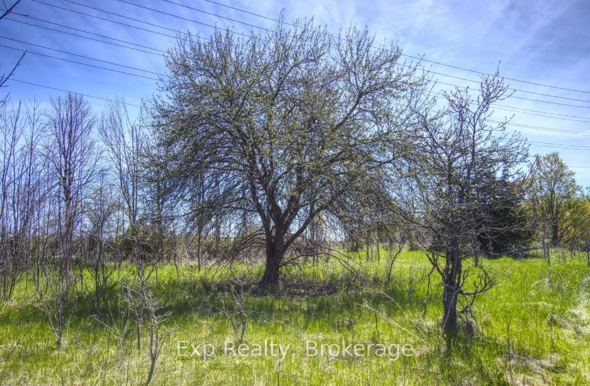Photo 9 of Lot 1 Asphodel 3rd Line, Asphodel-Norwood, Rural Asphodel-Norwood — HOMEH