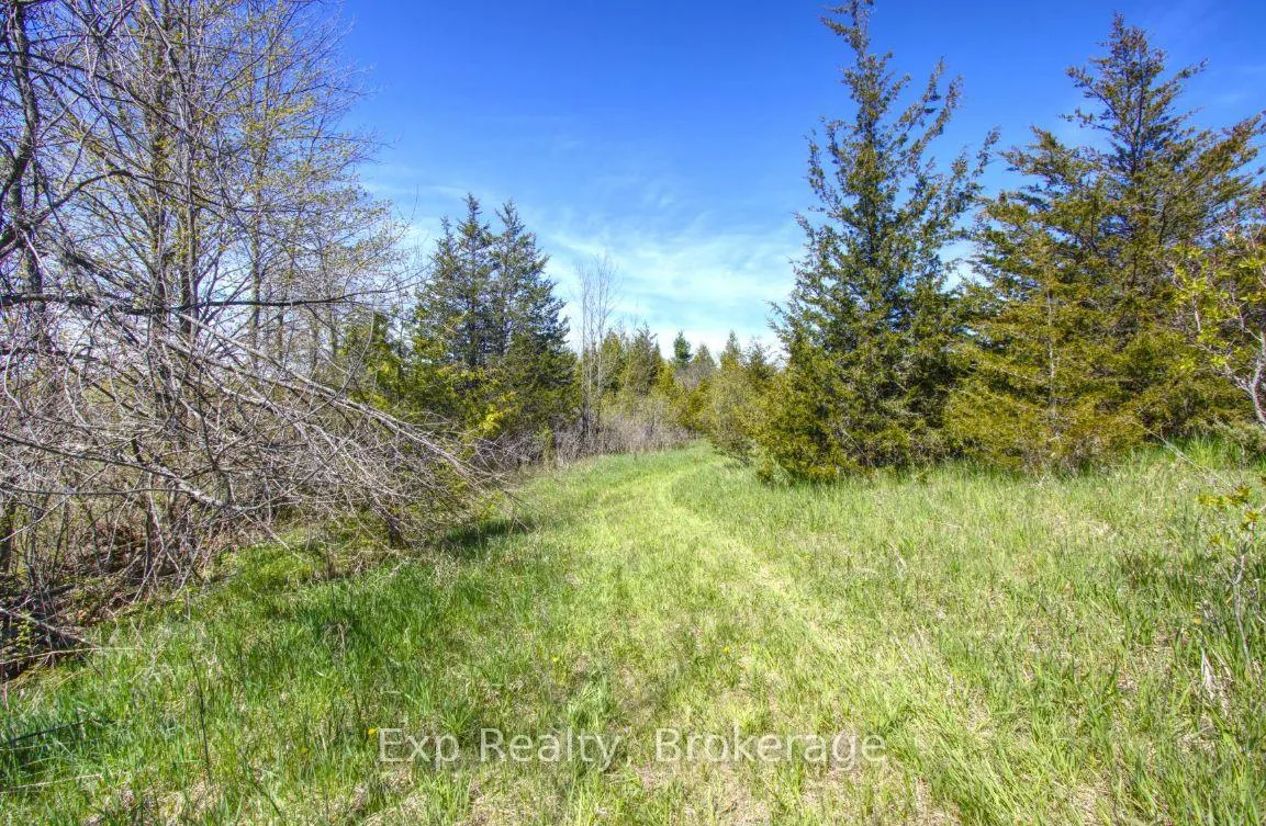 Photo 12 of Lot 1 Asphodel 3rd Line, Asphodel-Norwood, Rural Asphodel-Norwood — HOMEH