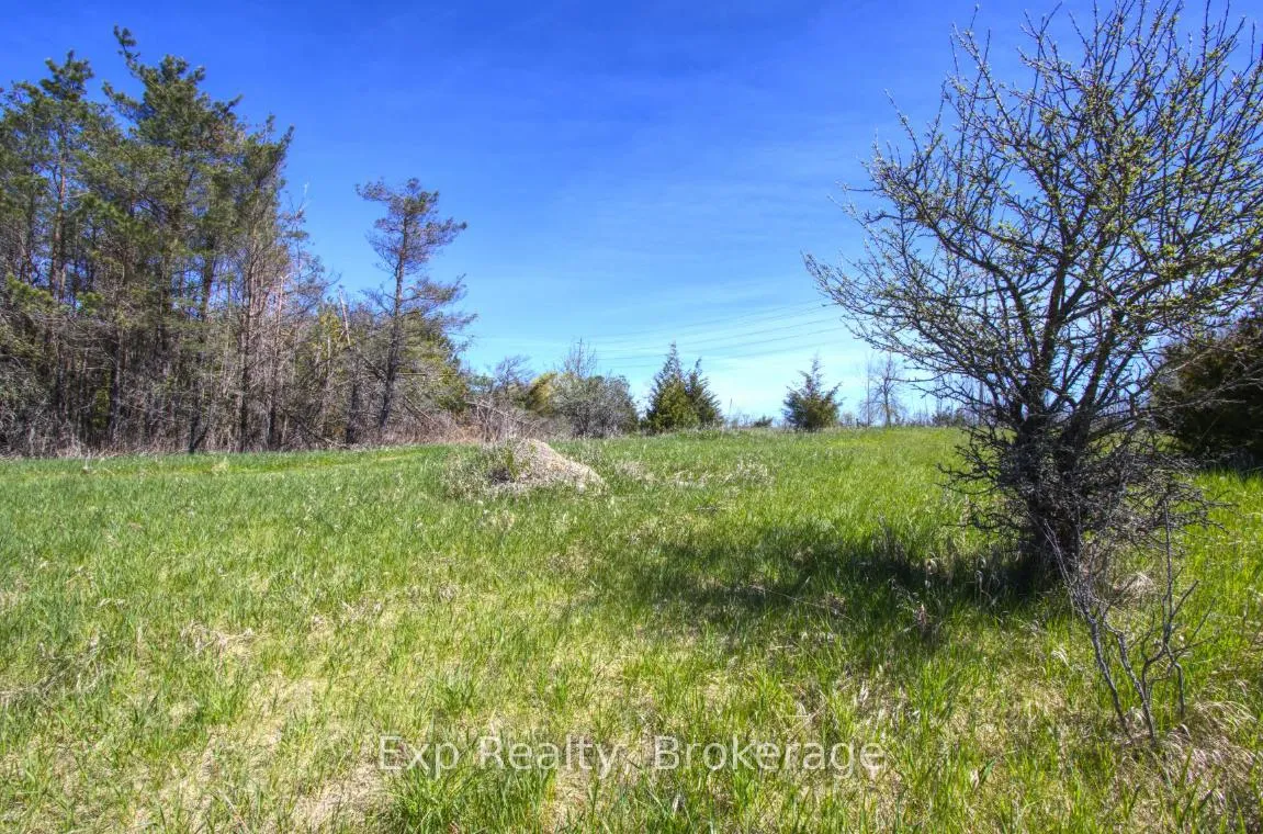 Photo 15 of Lot 1 Asphodel 3rd Line, Asphodel-Norwood, Rural Asphodel-Norwood — HOMEH