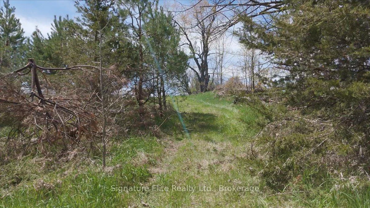 Photo 30 of Lot 1 Asphodel 3rd Line, Asphodel-Norwood, Rural Asphodel-Norwood — HOMEH