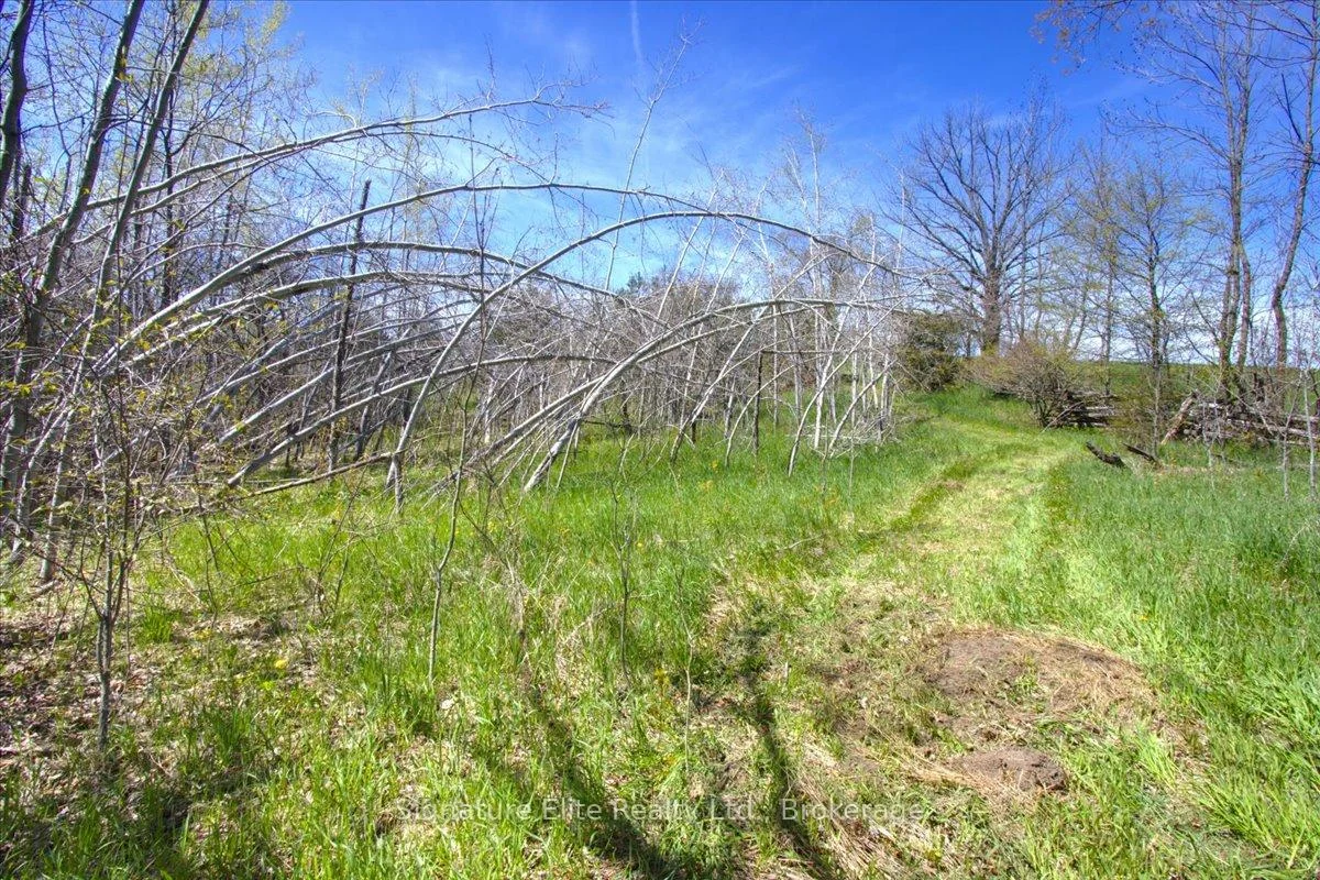Photo 40 of Lot 1 Asphodel 3rd Line, Asphodel-Norwood, Rural Asphodel-Norwood — HOMEH