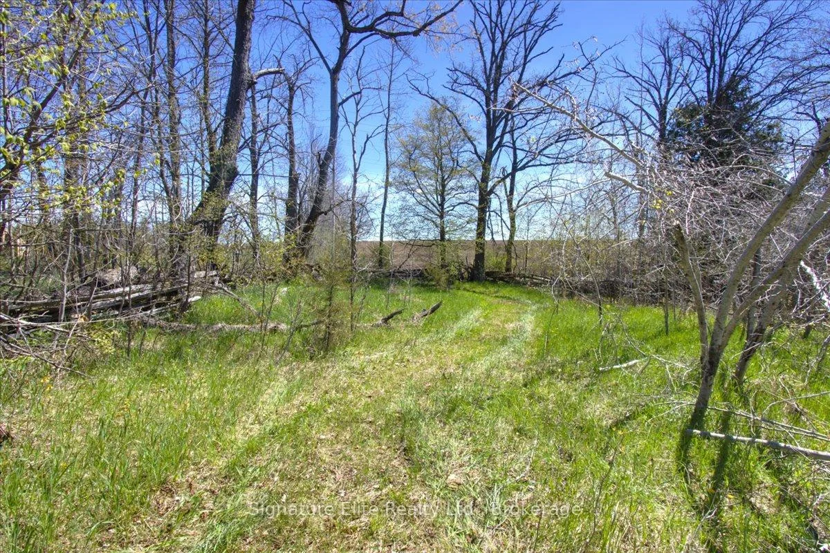 Photo 43 of Lot 1 Asphodel 3rd Line, Asphodel-Norwood, Rural Asphodel-Norwood — HOMEH