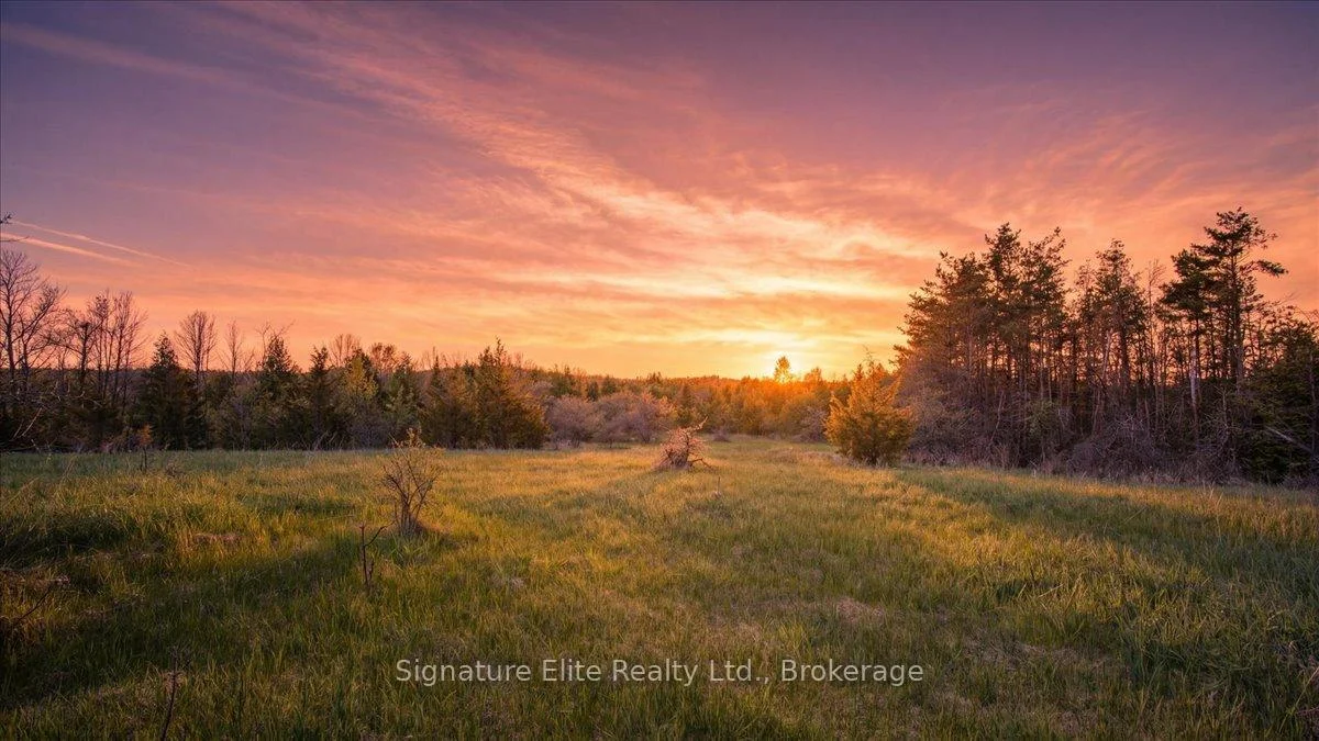 Photo of Lot 2 3rd Asphodel Line