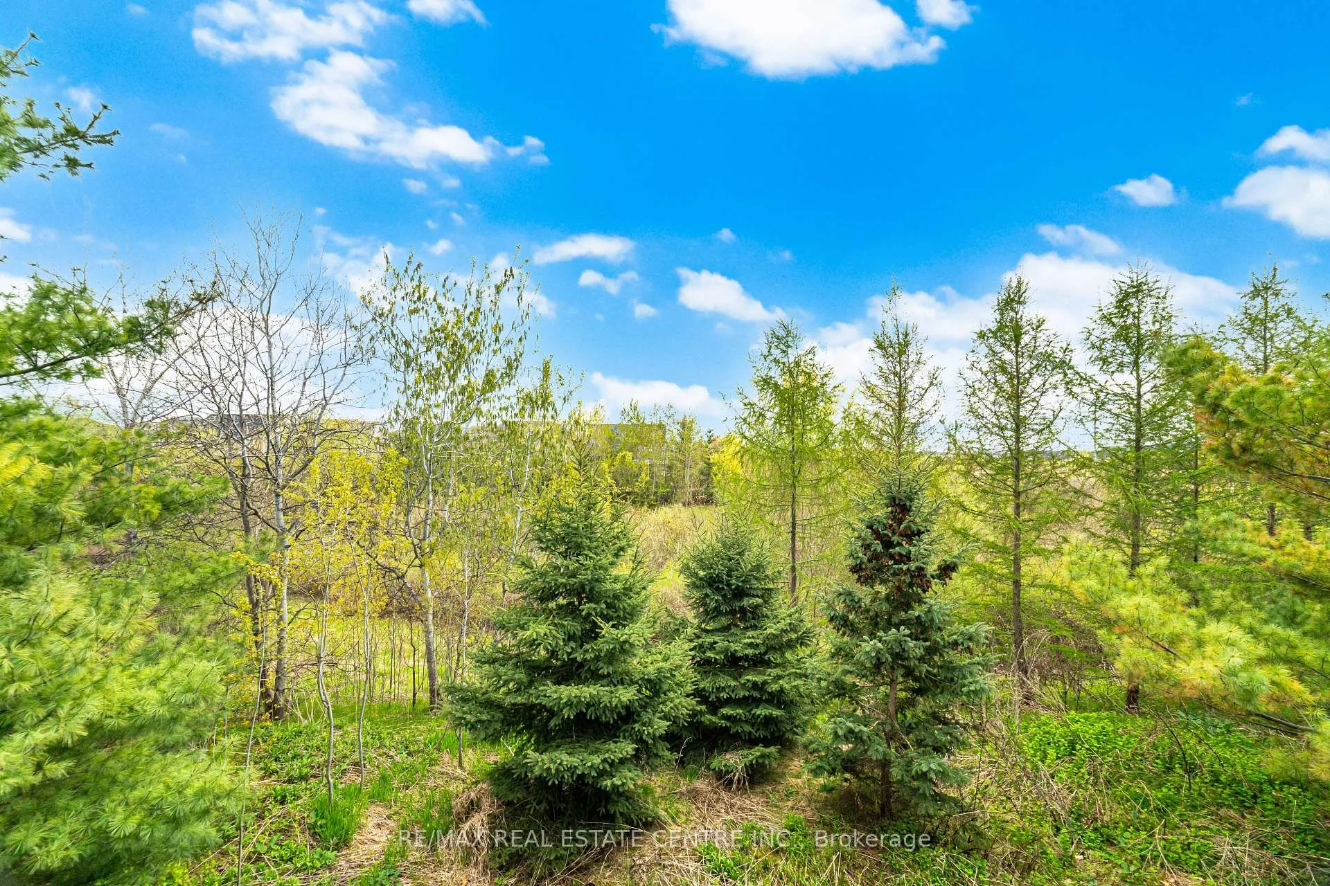 Photo 24 of Unit 64, 6020 Derry Road W, Milton, Harrison — HOMEH