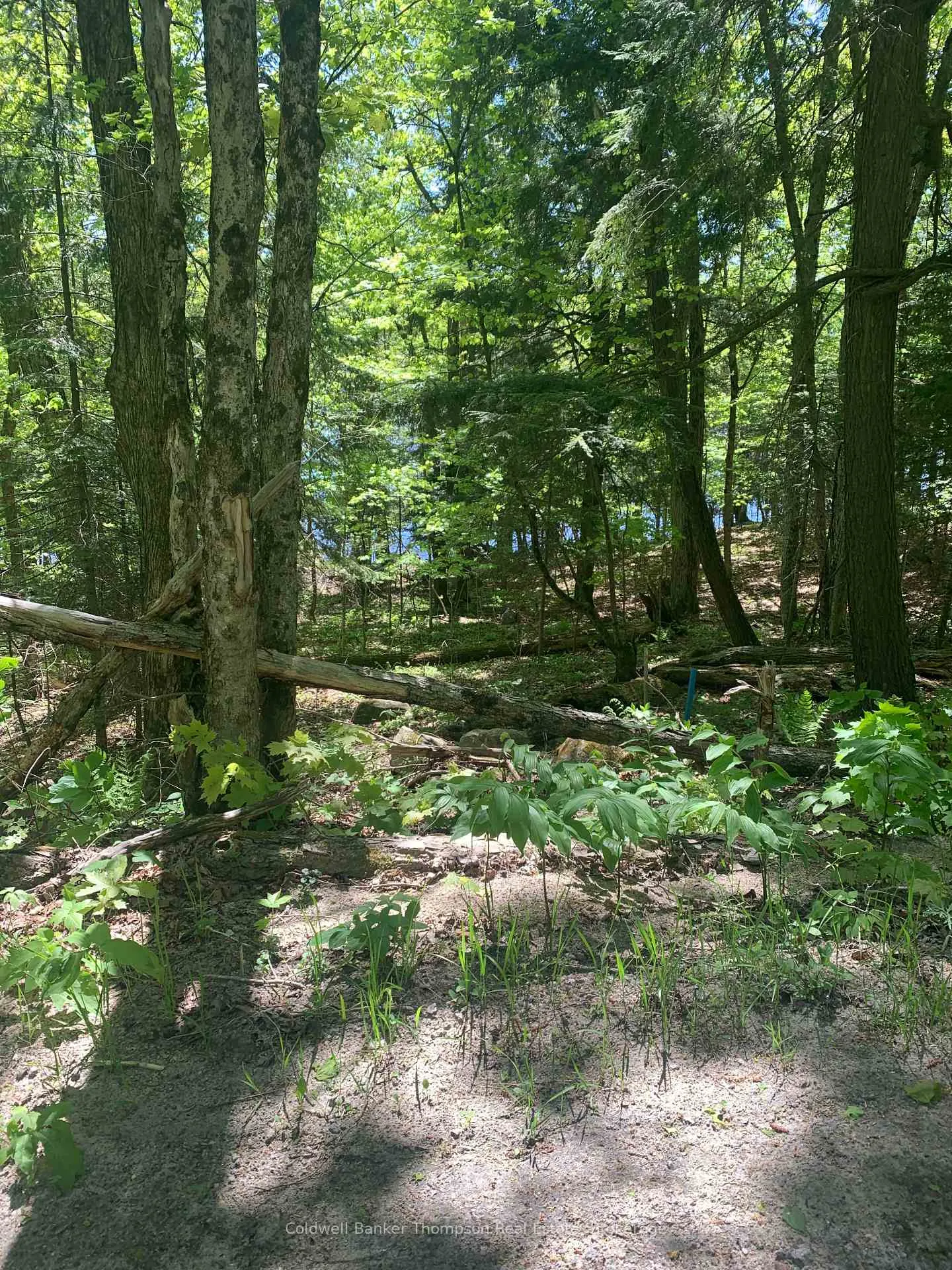 Photo of 00 Wurm Road