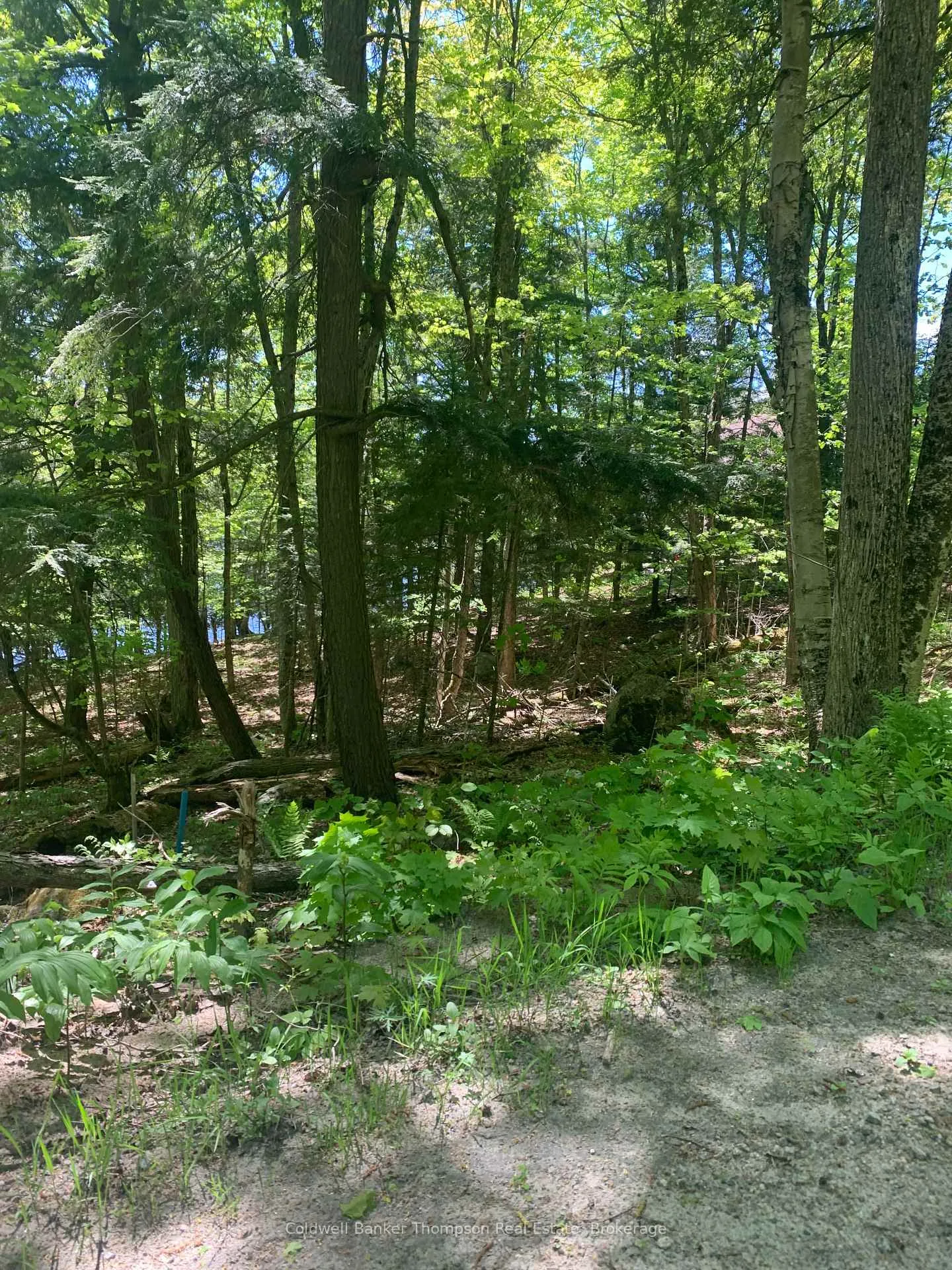 Photo 2 of 00 Wurm Road, Magnetawan — HOMEH