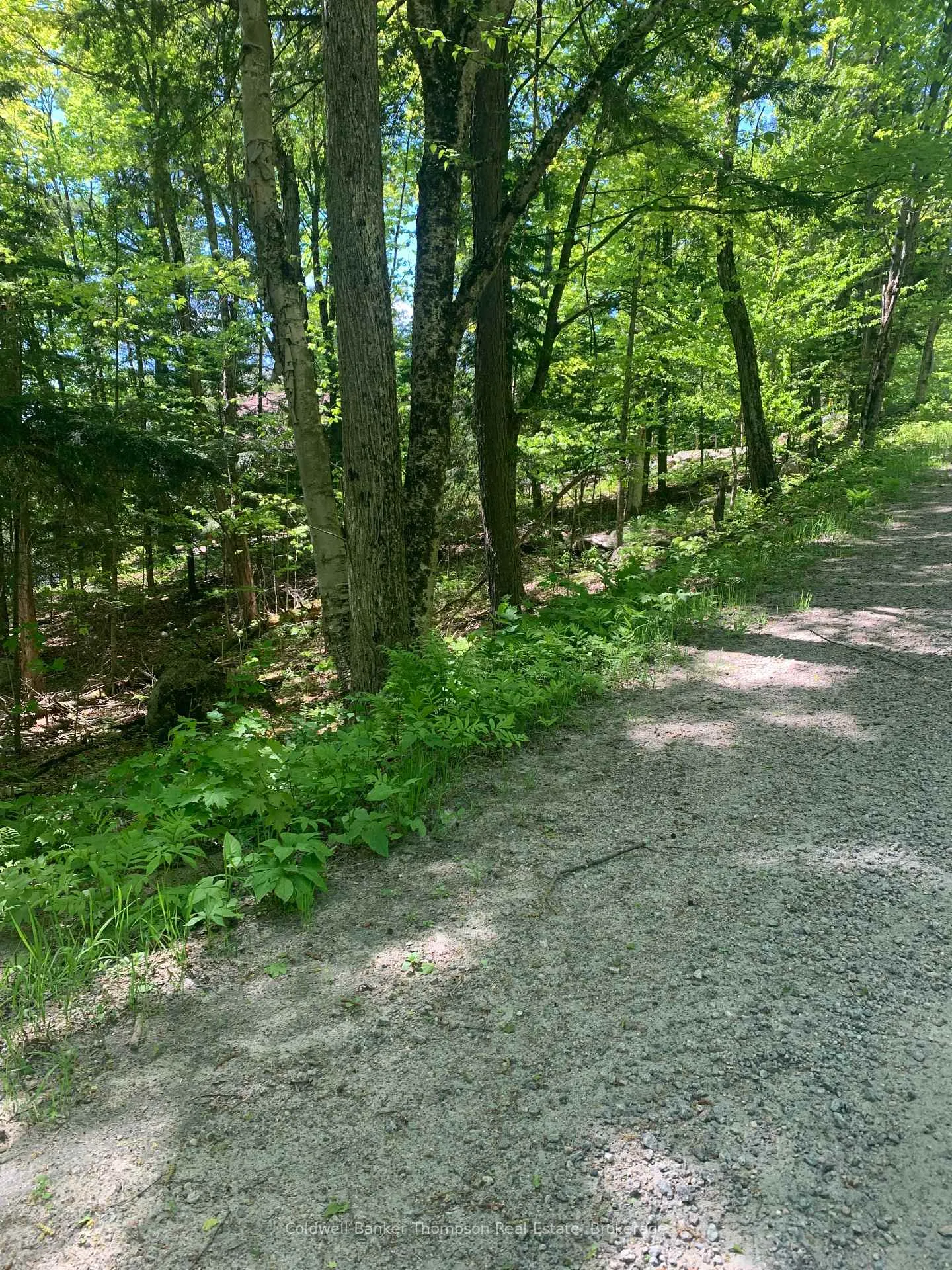 Photo 3 of 00 Wurm Road, Magnetawan — HOMEH