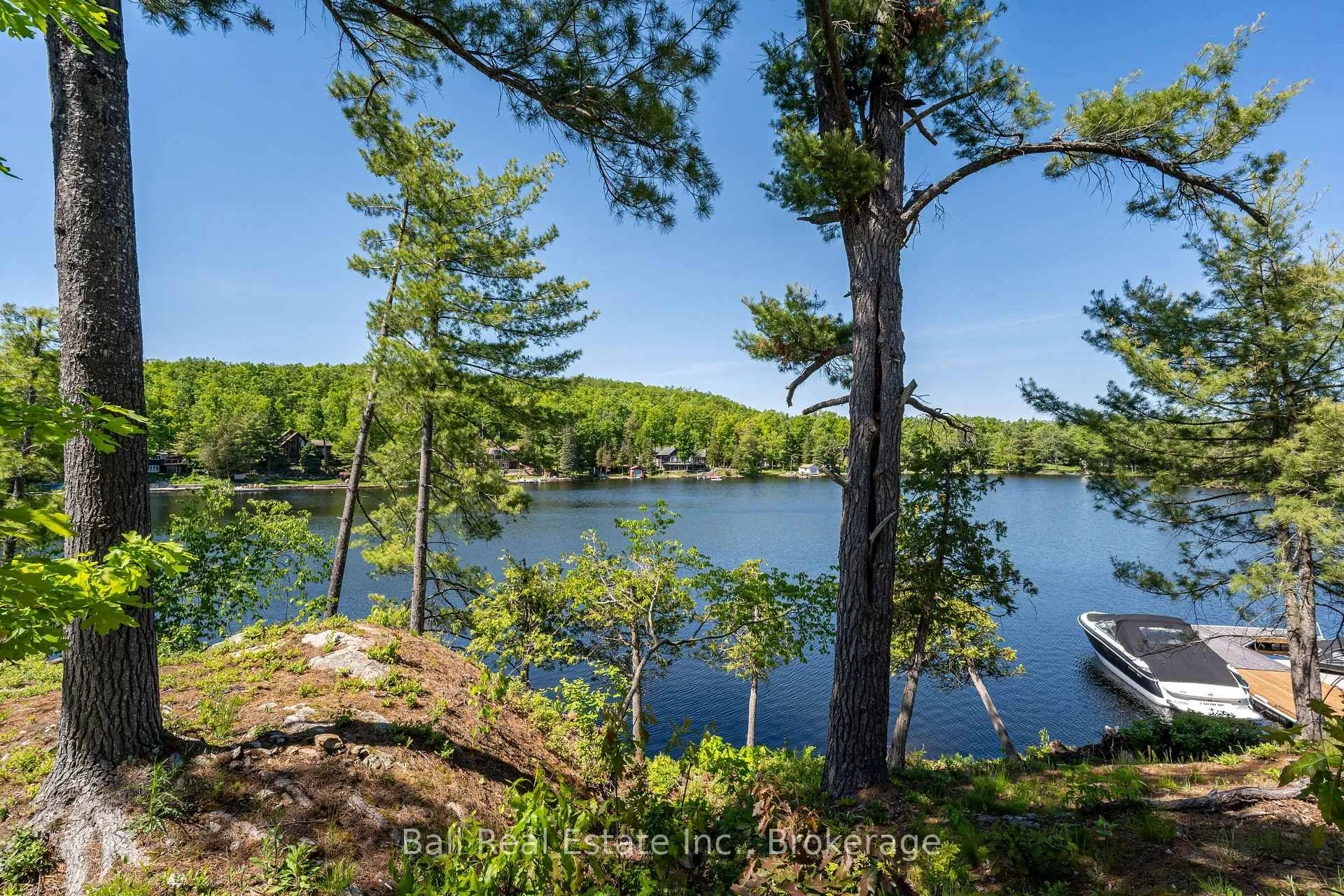 Photo 42 of 85 Hillcrest Road, North Kawartha — HOMEH