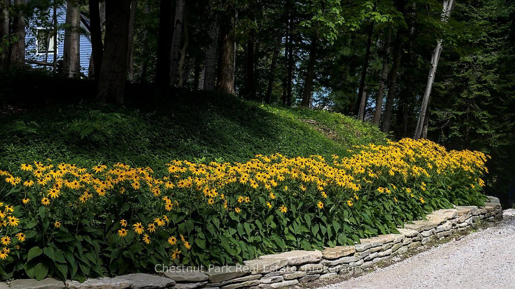 Photo 4 of 504543 Grey Road 1, Georgian Bluffs — HOMEH