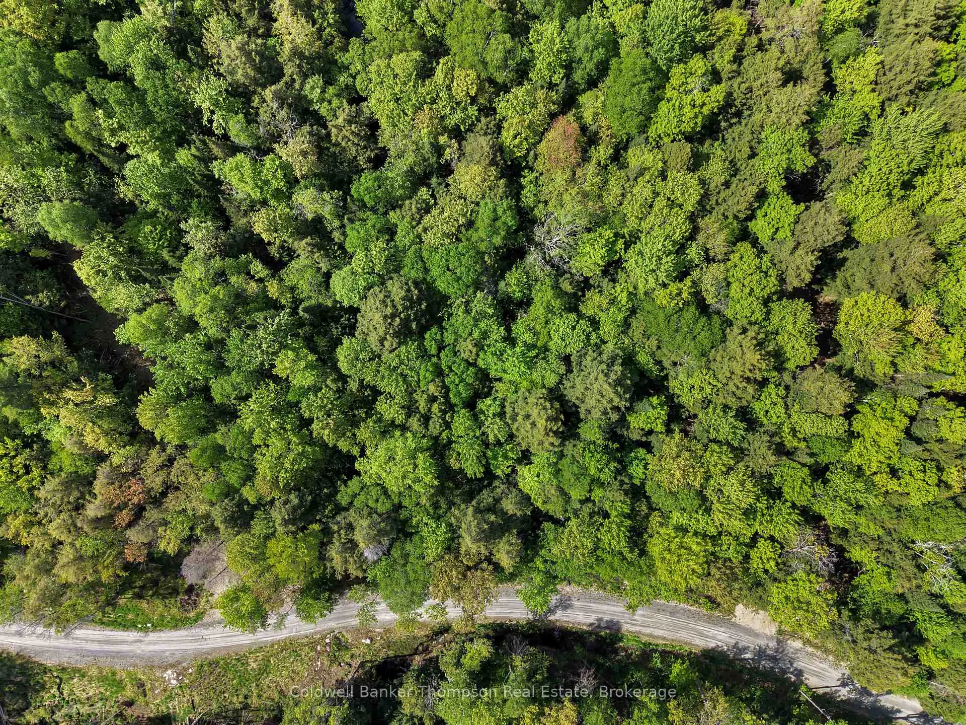 Photo 4 of 30 Lake Vision Road, McMurrich/Monteith, Monteith — HOMEH