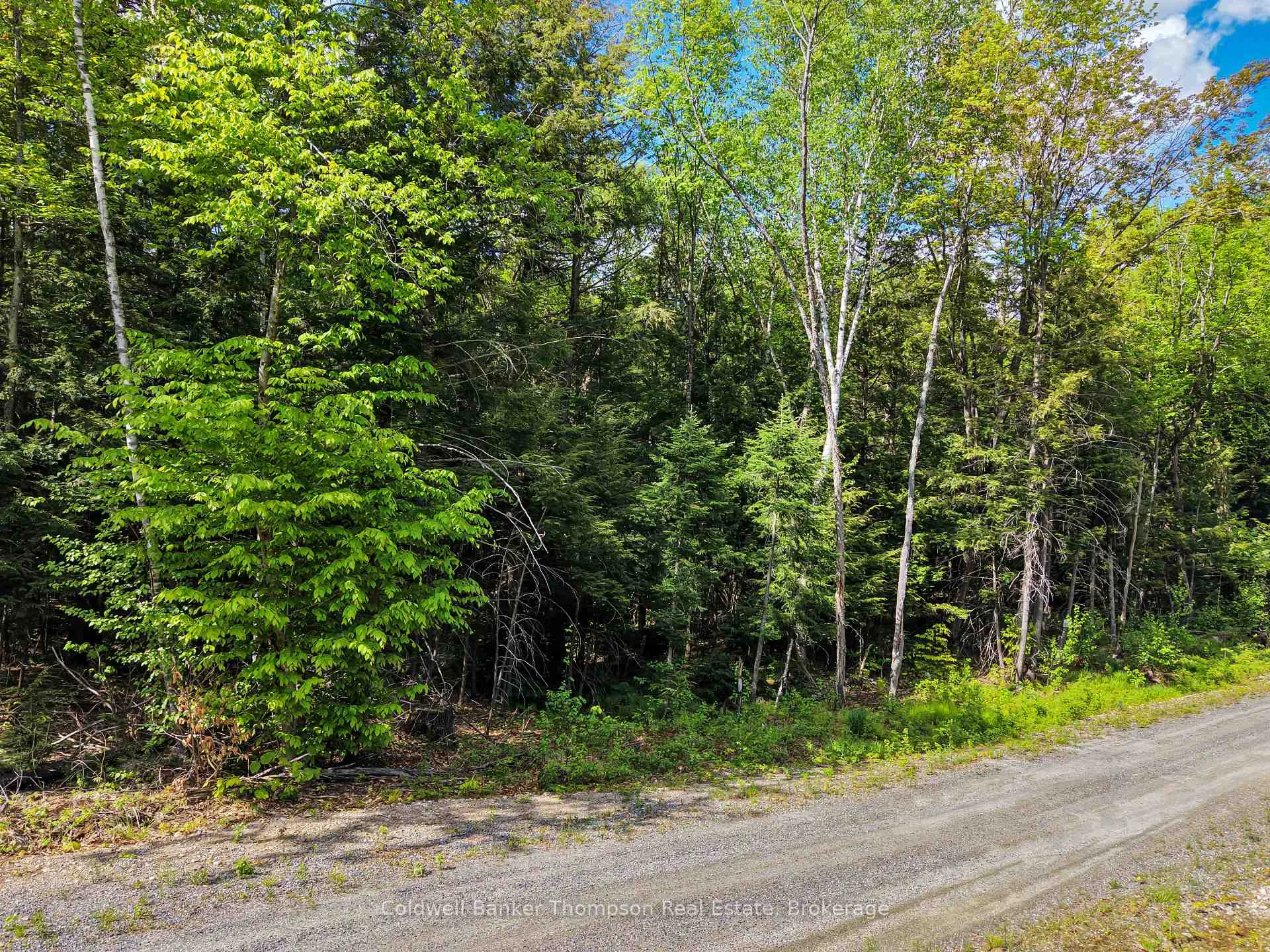 Photo 8 of 30 Lake Vision Road, McMurrich/Monteith, Monteith — HOMEH