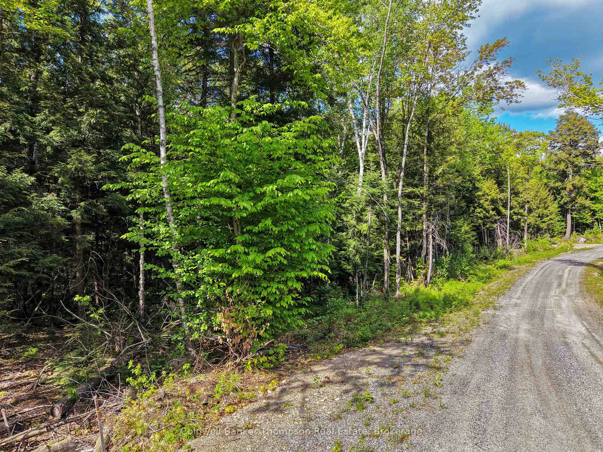 Photo 9 of 30 Lake Vision Road, McMurrich/Monteith, Monteith — HOMEH