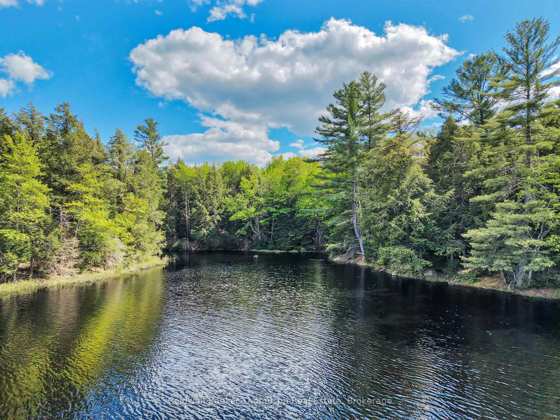 Photo 15 of 30 Lake Vision Road, McMurrich/Monteith, Monteith — HOMEH