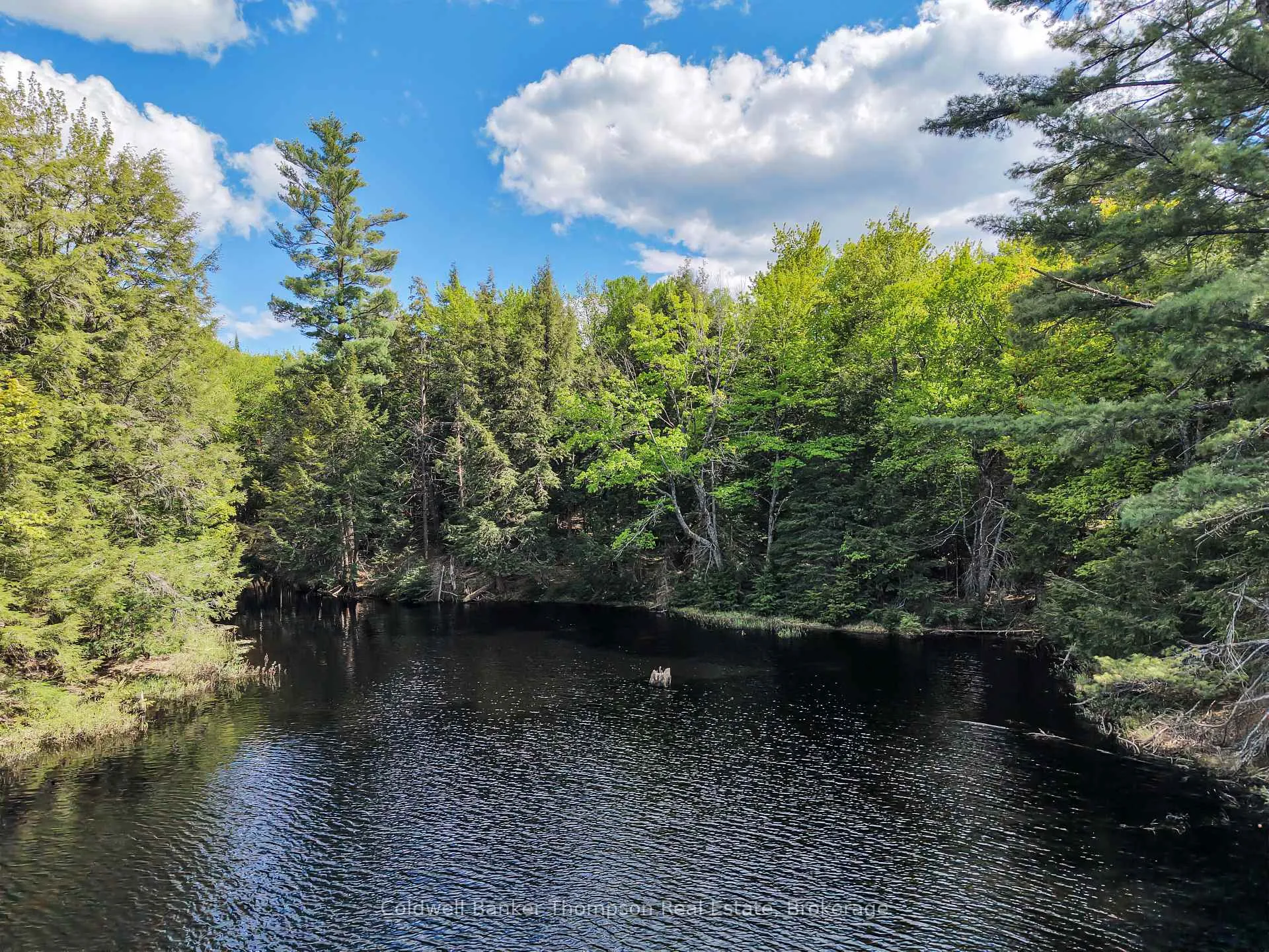 Photo 16 of 30 Lake Vision Road, McMurrich/Monteith, Monteith — HOMEH