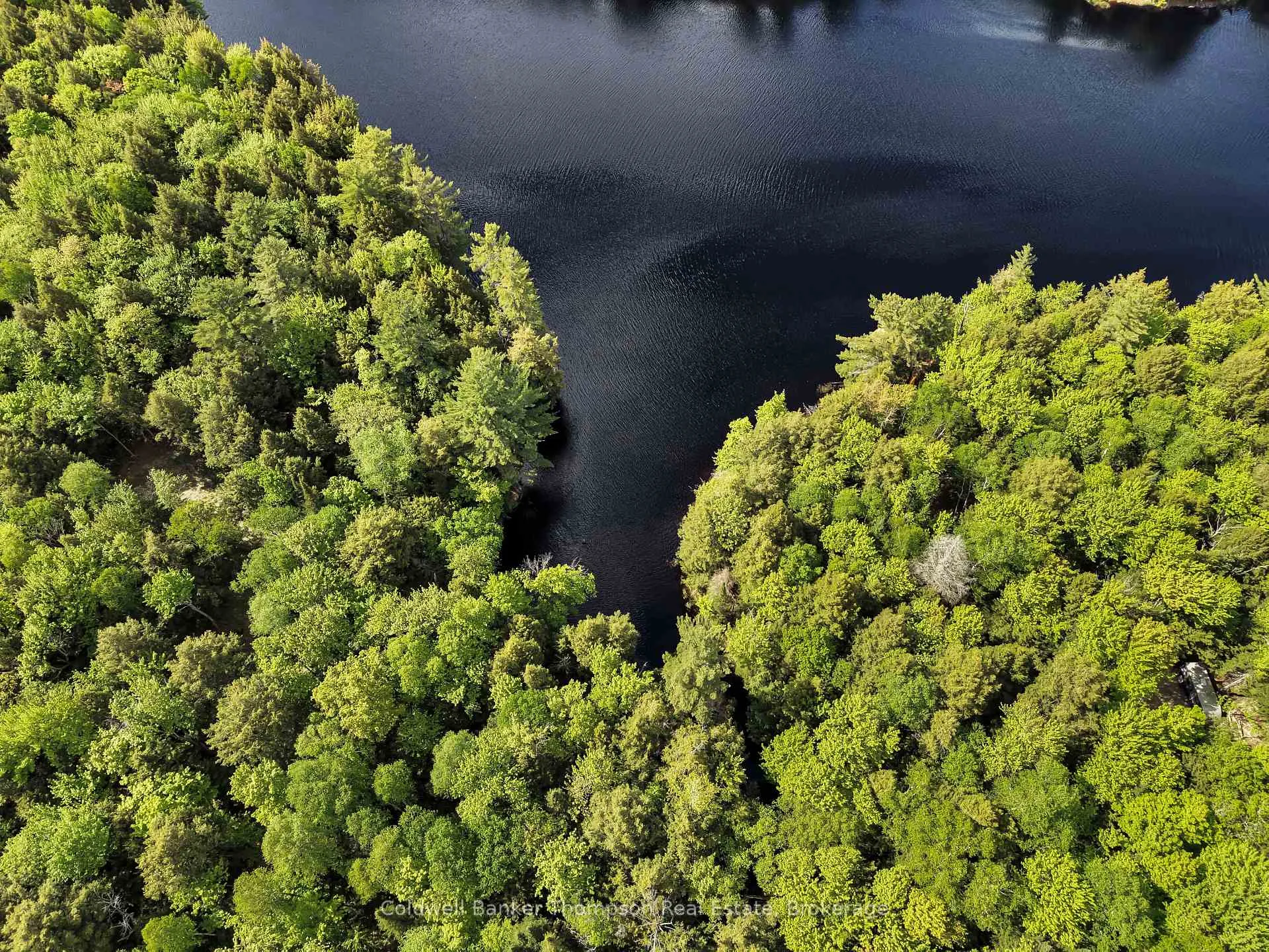Photo 22 of 30 Lake Vision Road, McMurrich/Monteith, Monteith — HOMEH