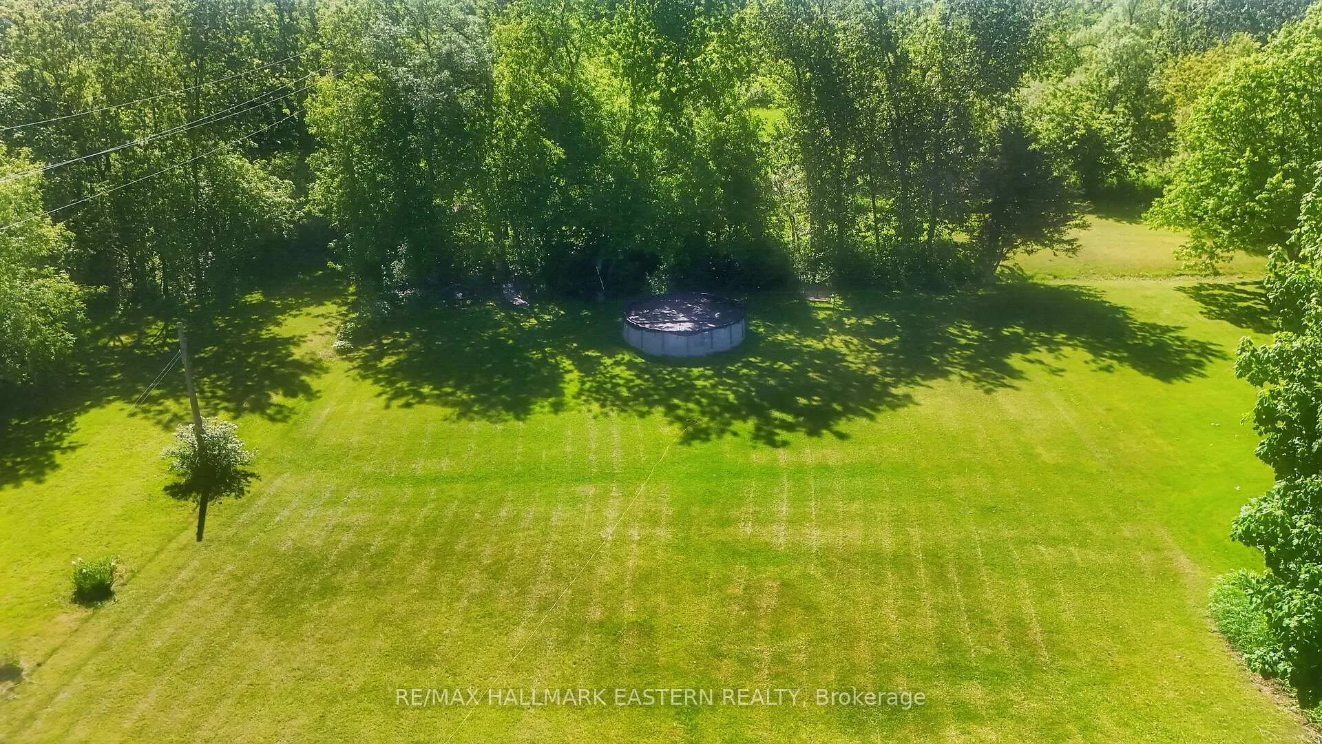 Photo 8 of 45 Spring Street, Asphodel-Norwood, Norwood — HOMEH