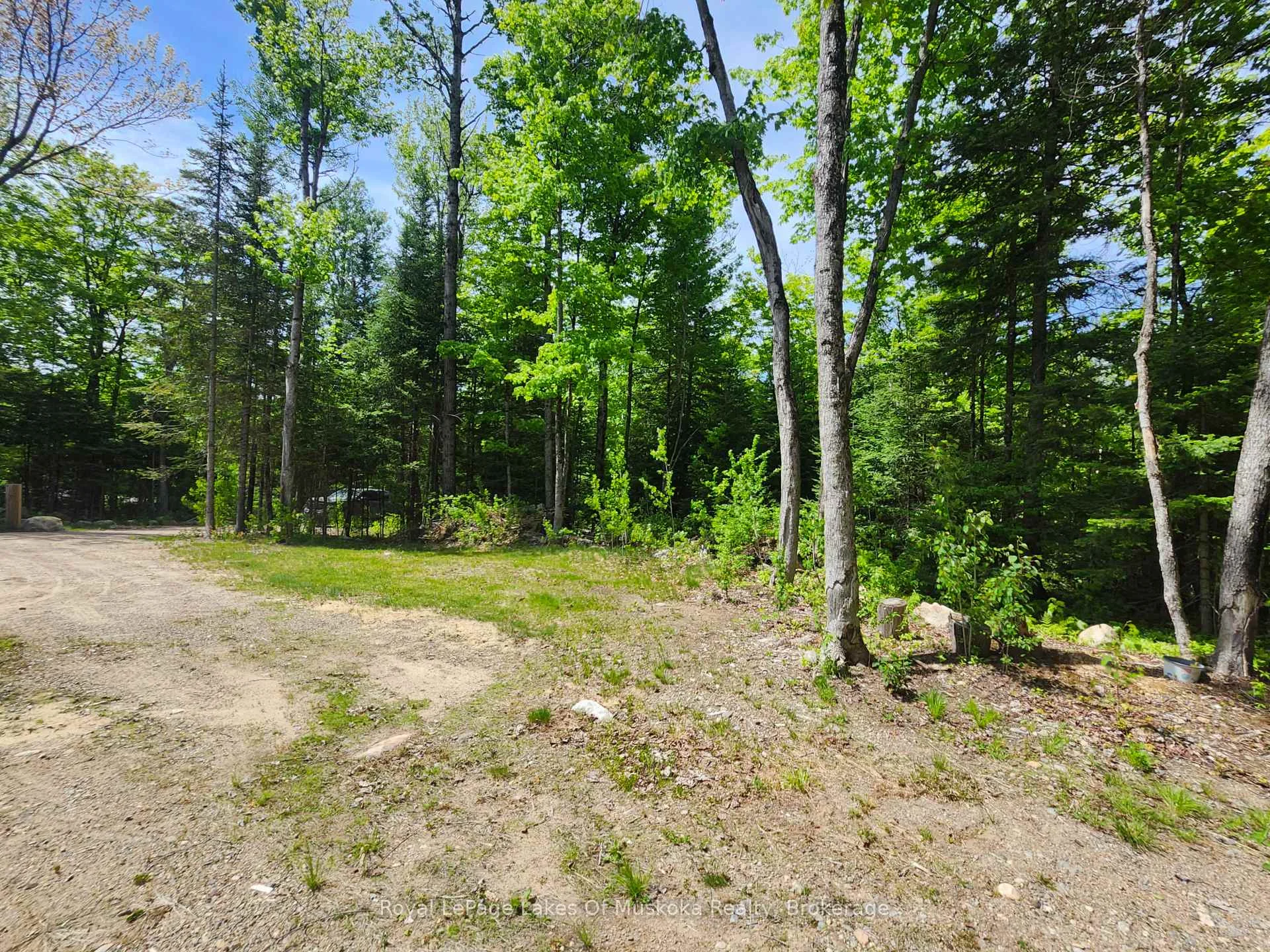 Photo 34 of 3997 Chetwynd Road, Kearney, Proudfoot — HOMEH