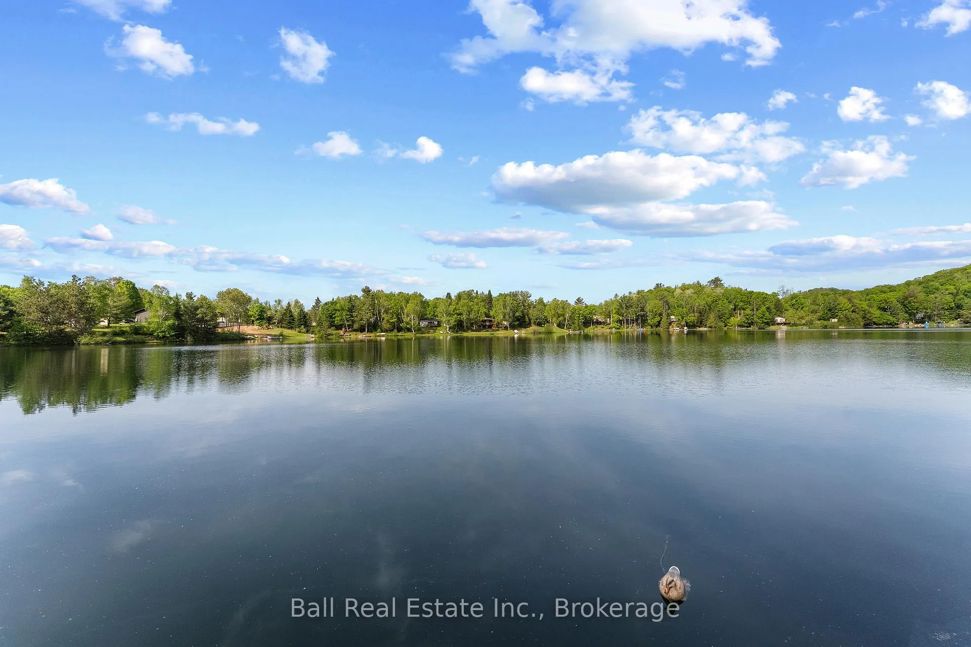 Photo 47 of 29 Siddon Lake Place, Faraday — HOMEH