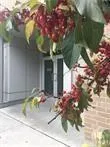 Photo 2 of Unit PH6, 235 Patterson Avenue, Ottawa, Glebe — HOMEH