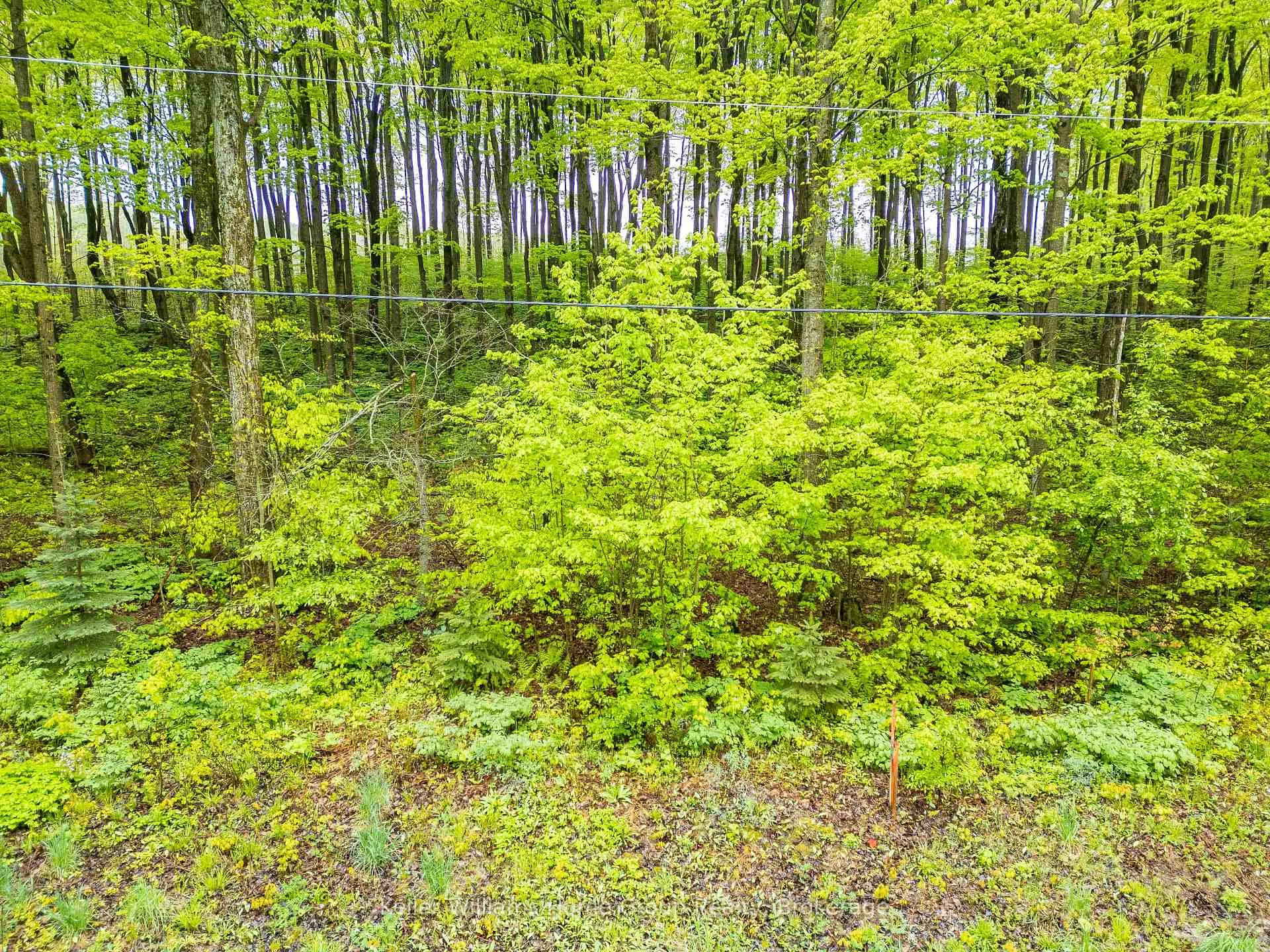Photo 3 of PT LT 6 Baseline Road, Grey Highlands — HOMEH