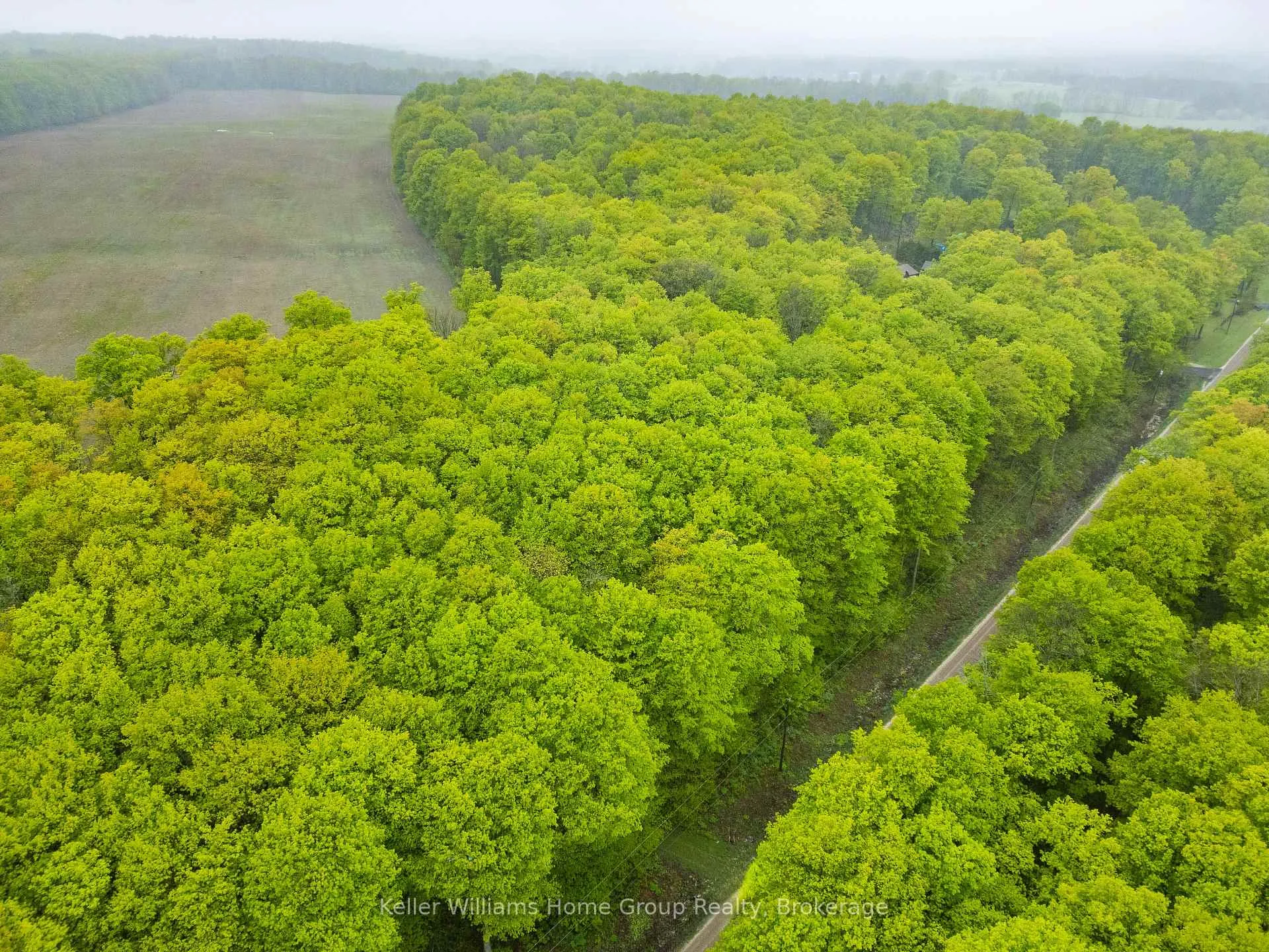 Photo 6 of PT LT 6 Baseline Road, Grey Highlands — HOMEH