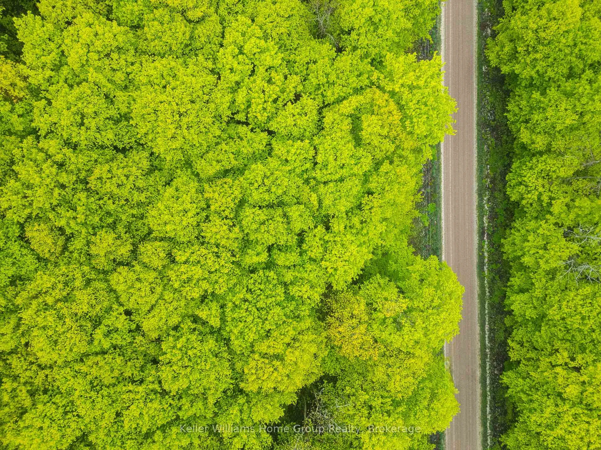 Photo 7 of PT LT 6 Baseline Road, Grey Highlands — HOMEH