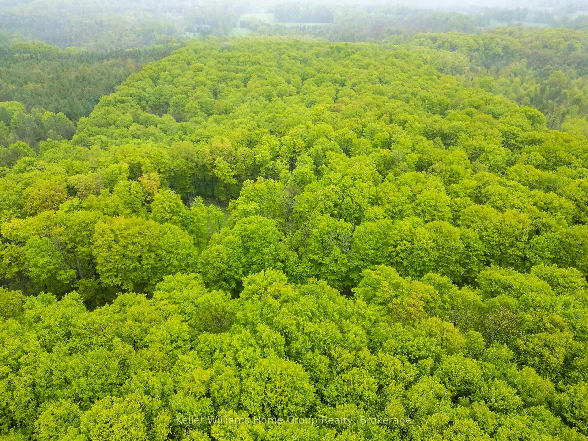 Photo 8 of PT LT 6 Baseline Road, Grey Highlands — HOMEH